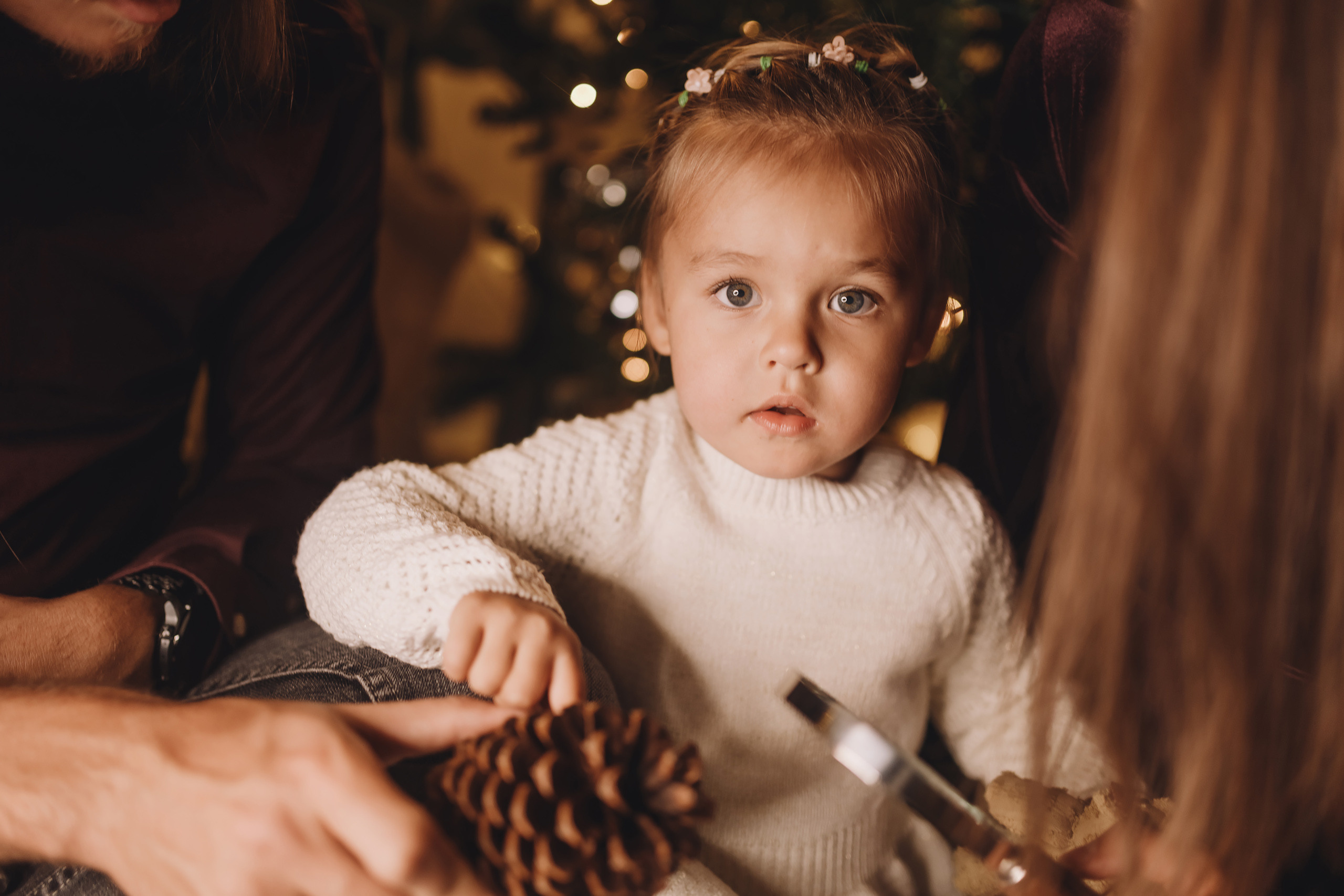 12092021 Christmas Photoshoot 11. Wedding family event photographer in Chicago Nick Yushevich