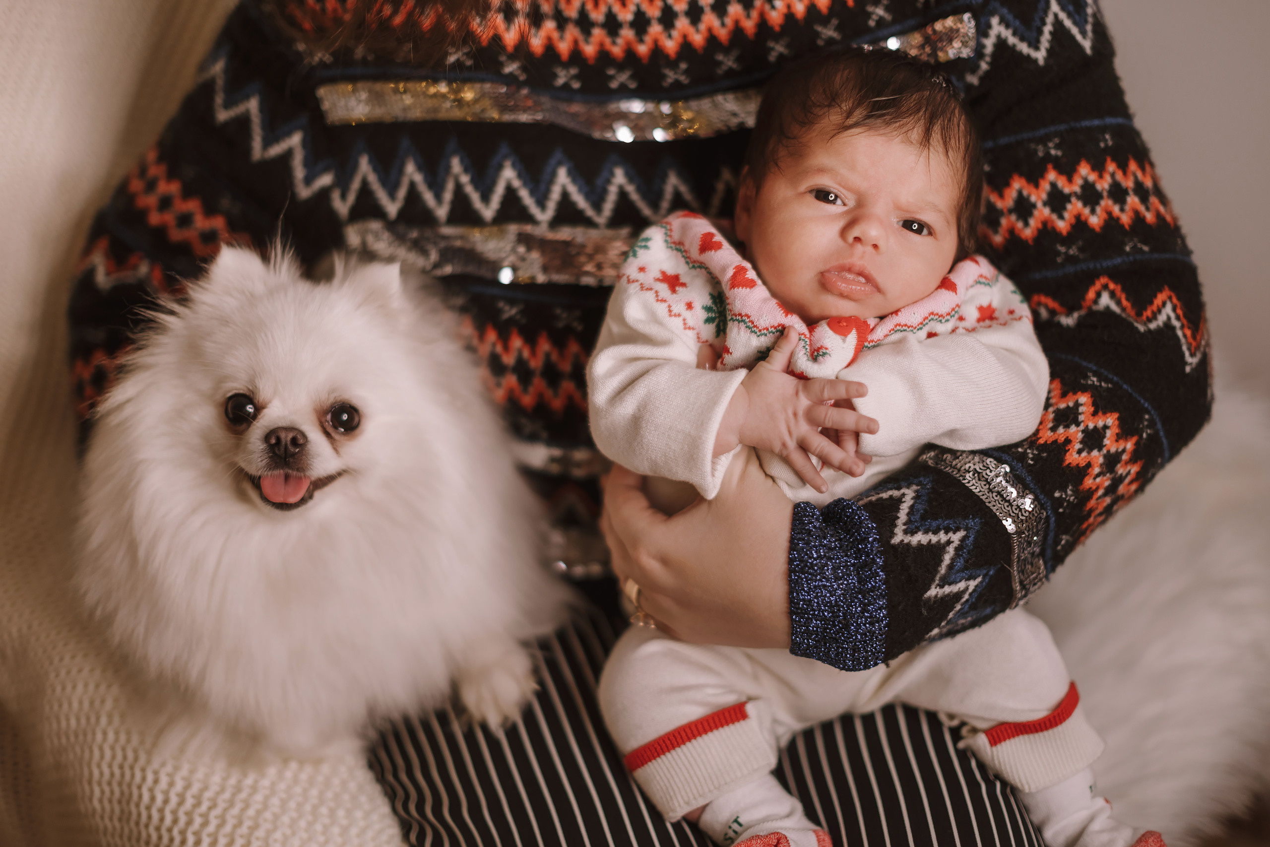 12042021 Christmas Photoshoot 9. Wedding family event photographer in Chicago Nick Yushevich