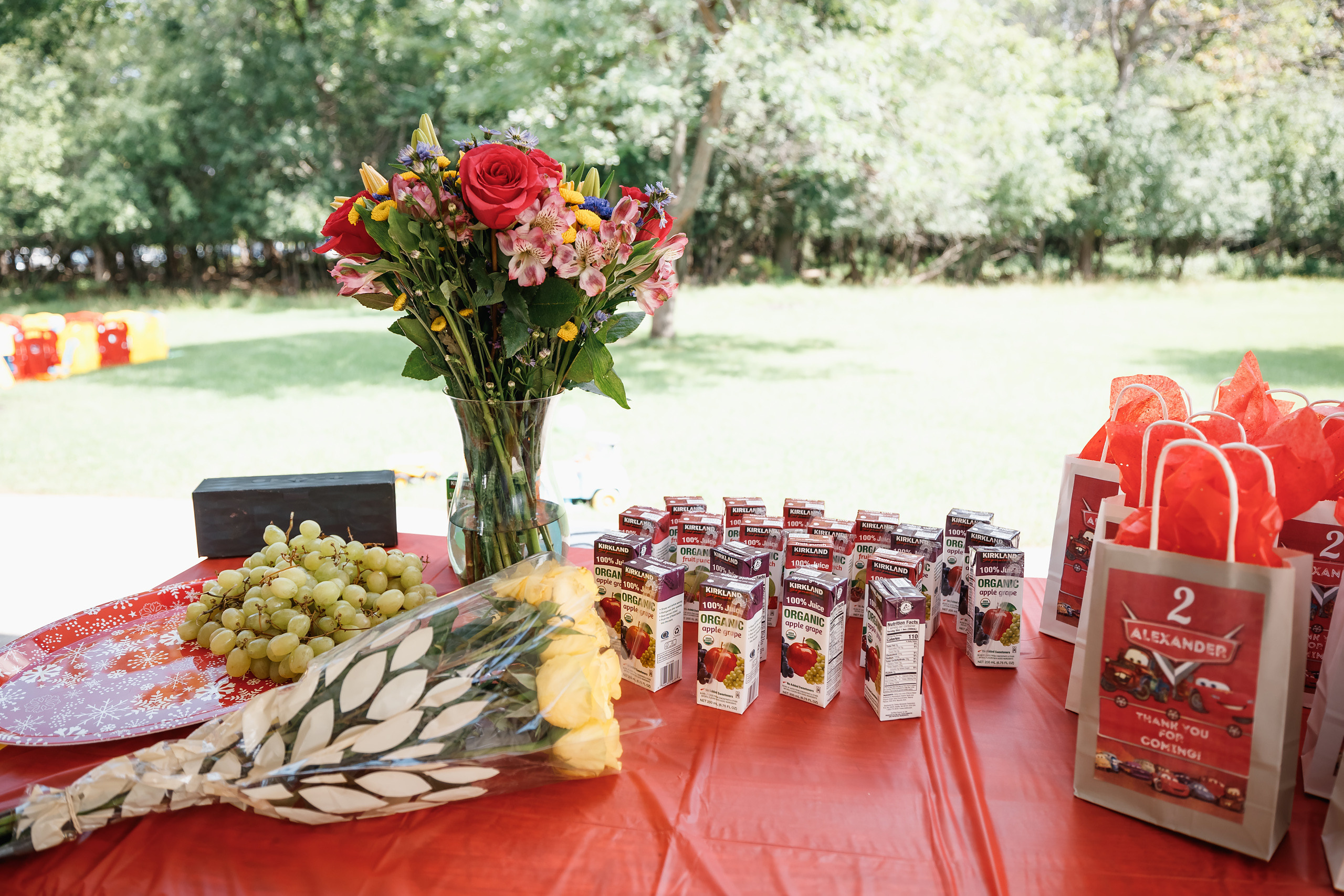 08.22.2021 Birthday photoshoot. Wedding family event photographer in Chicago Nick Yushevich