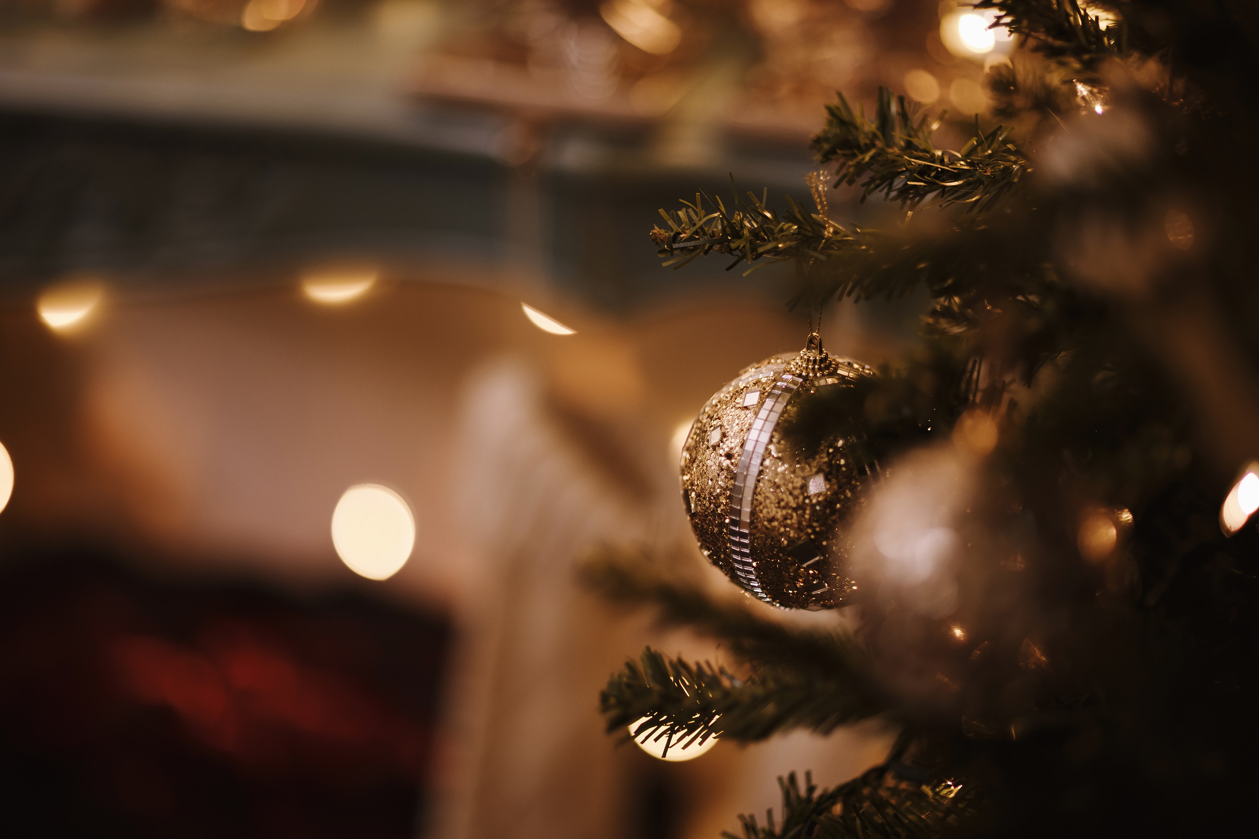 11282021 Christmas Photoshoot 6. Wedding family event photographer in Chicago Nick Yushevich