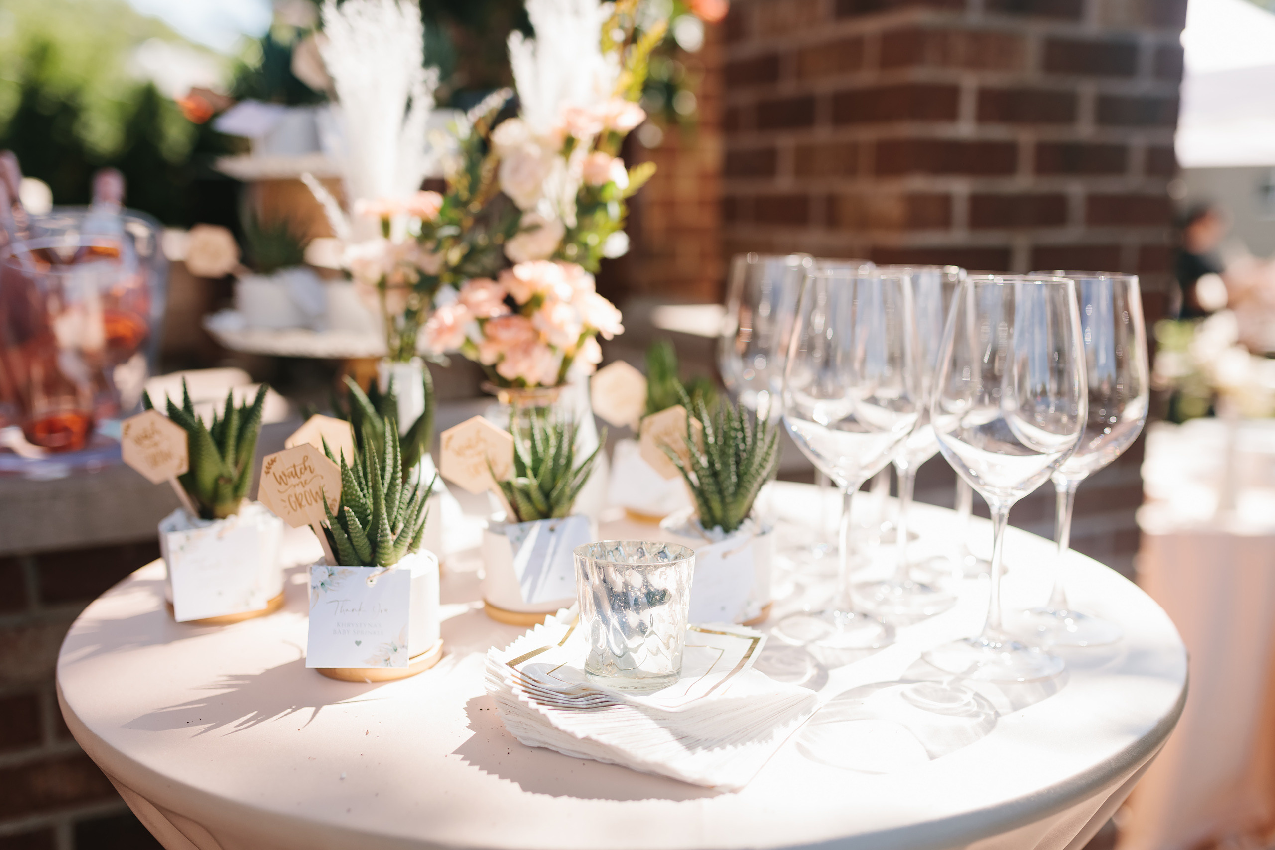 08.15.2021 Baby shower. Wedding family event photographer in Chicago Nick Yushevich