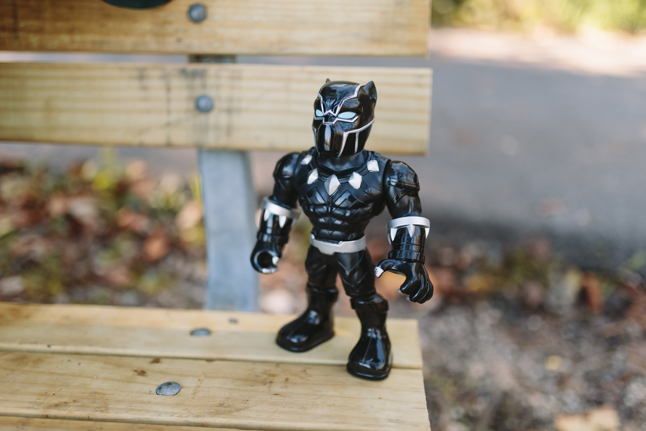 10.17.2021 Family photoshoot. Wedding family event photographer in Chicago Nick Yushevich