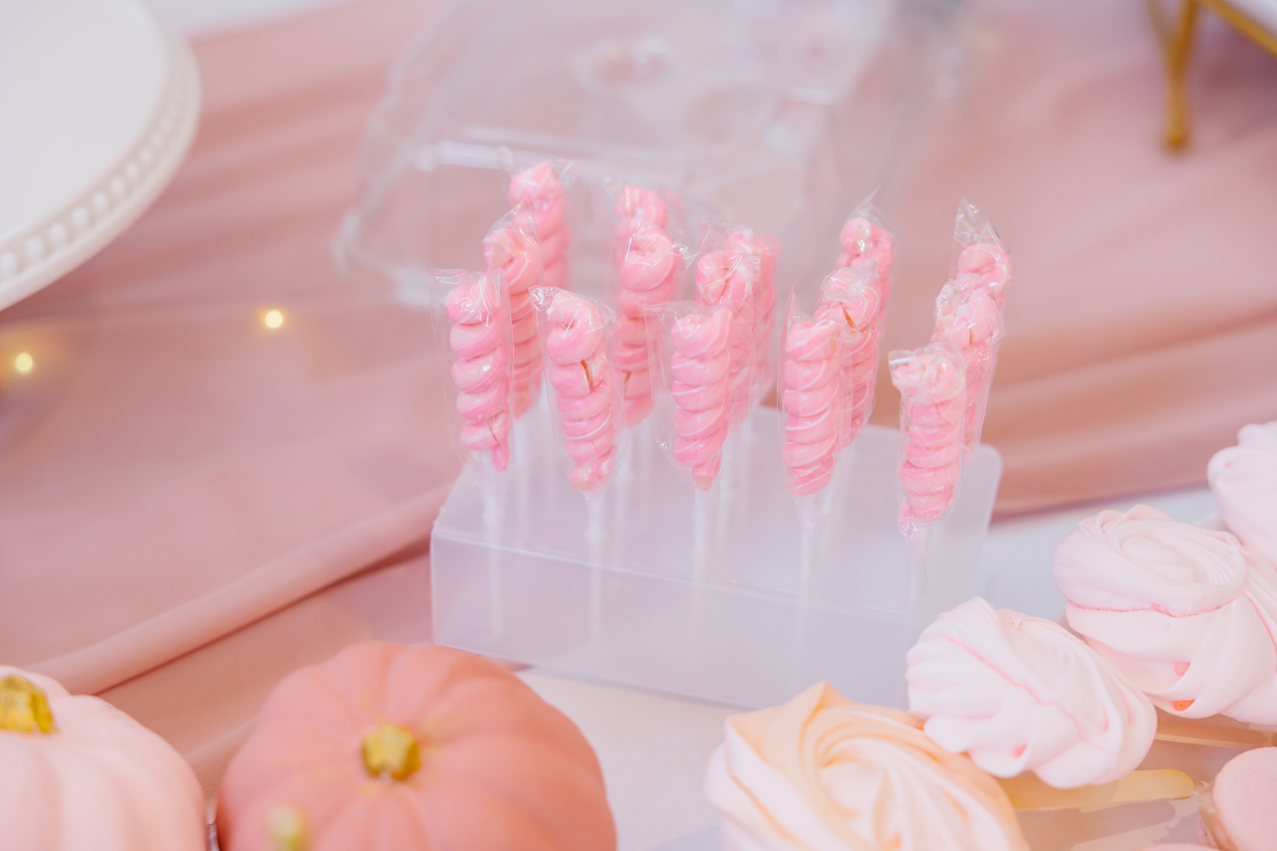 11.13.2021 First birthday. Wedding family event photographer in Chicago Nick Yushevich