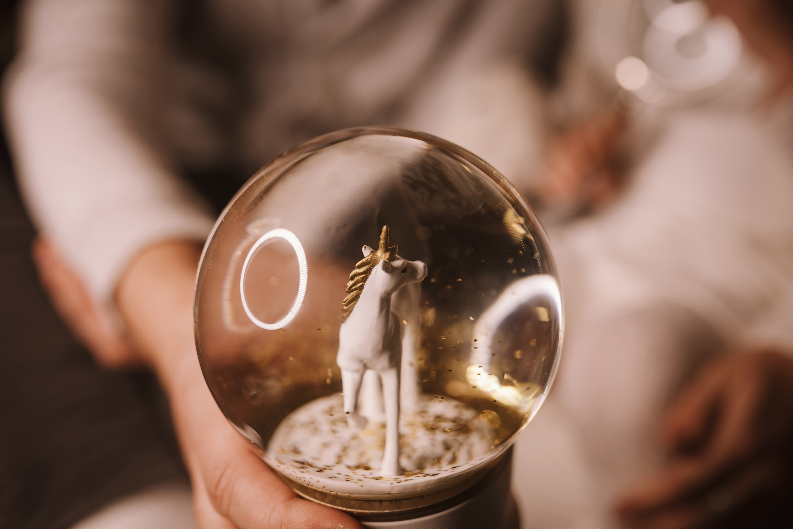 11212021 Christmas Photoshoot 3. Wedding family event photographer in Chicago Nick Yushevich