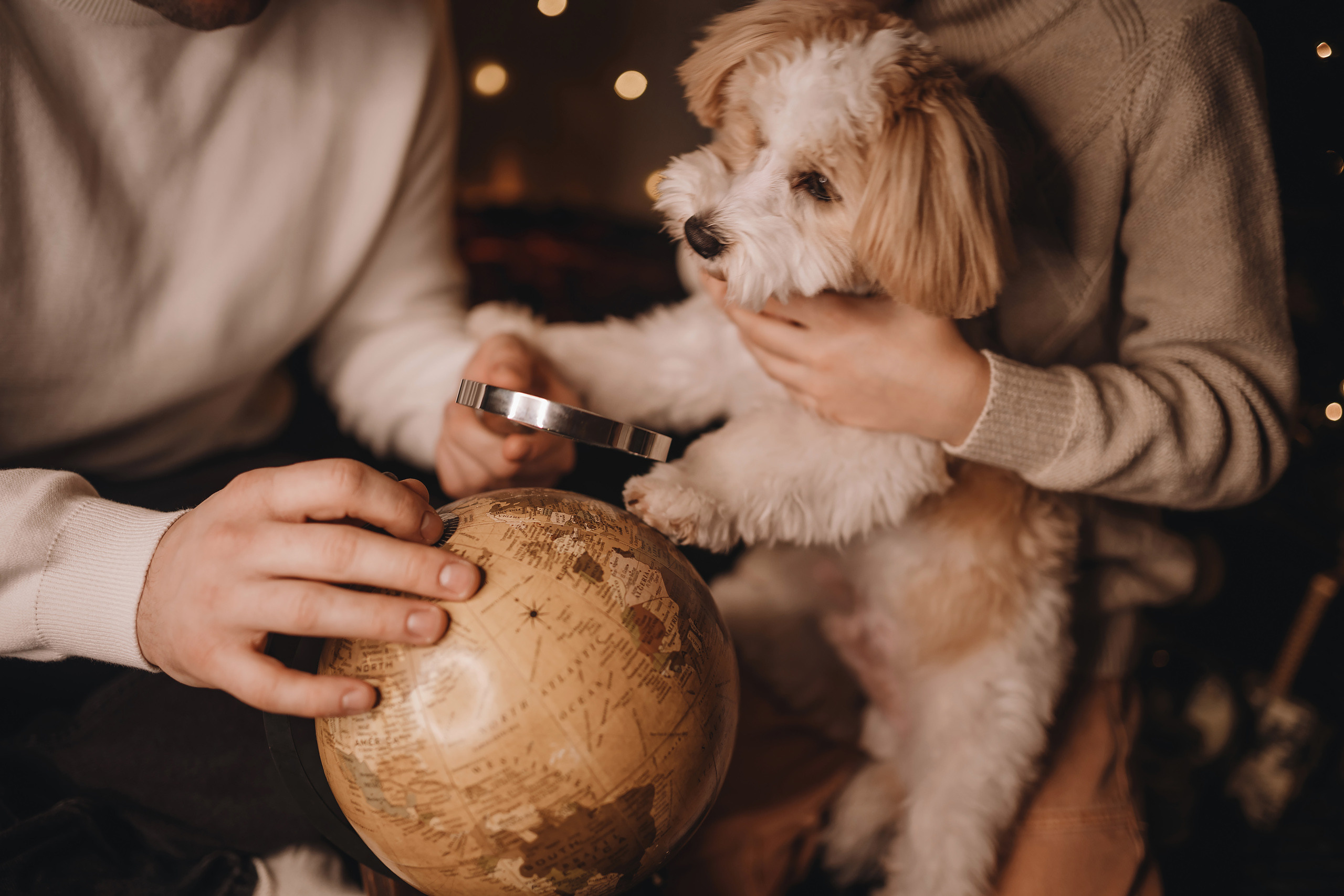 12142021 Christmas Photoshoot 14. Wedding family event photographer in Chicago Nick Yushevich