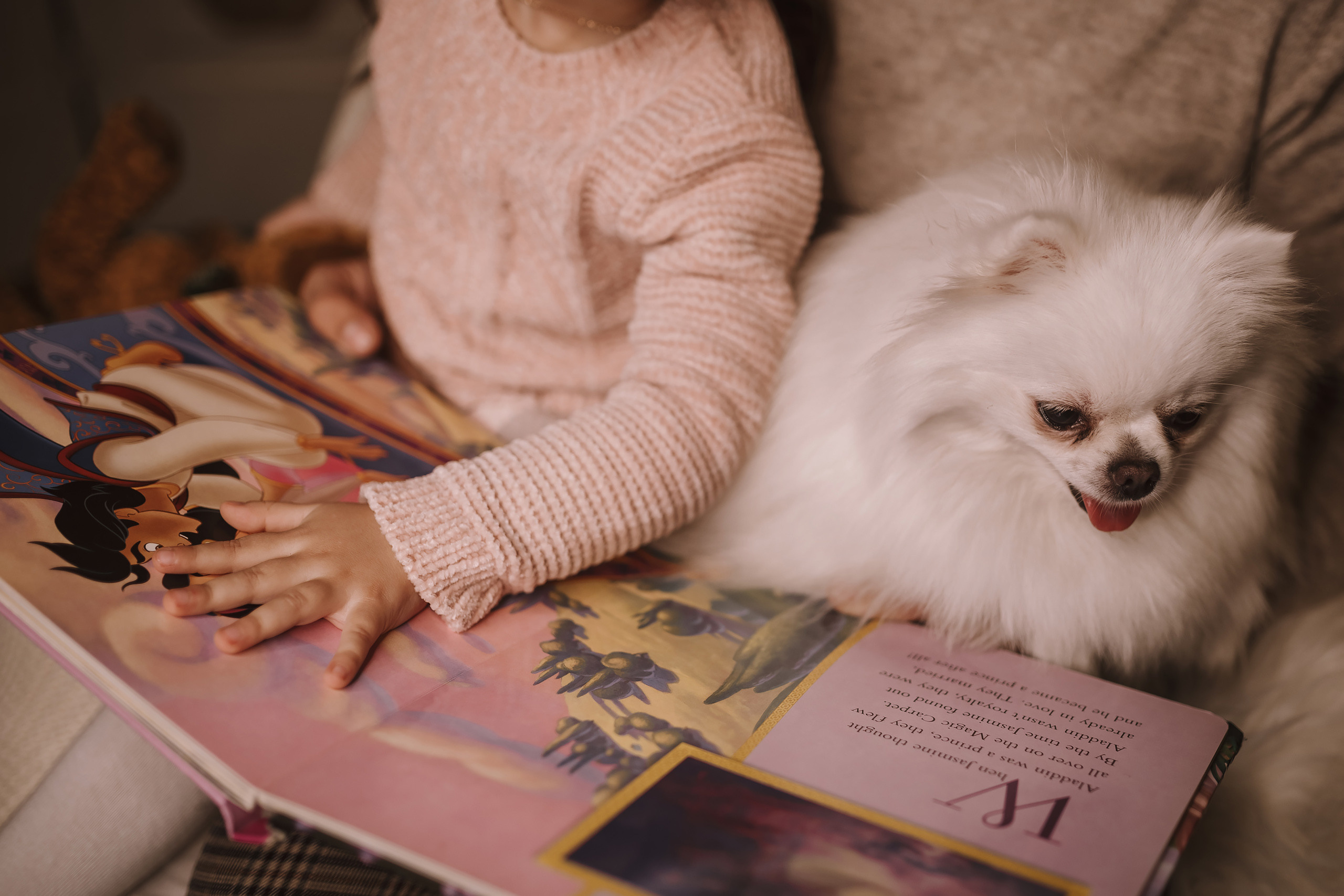 12042021 Christmas Photoshoot 9. Wedding family event photographer in Chicago Nick Yushevich