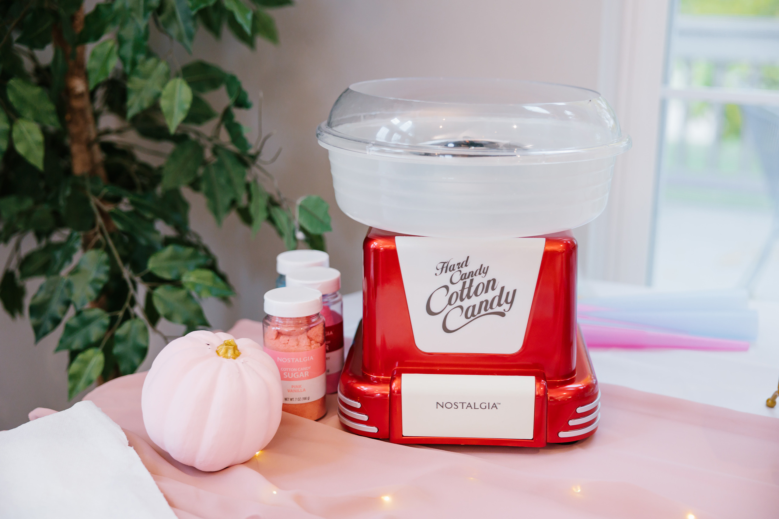 11.13.2021 First birthday. Wedding family event photographer in Chicago Nick Yushevich