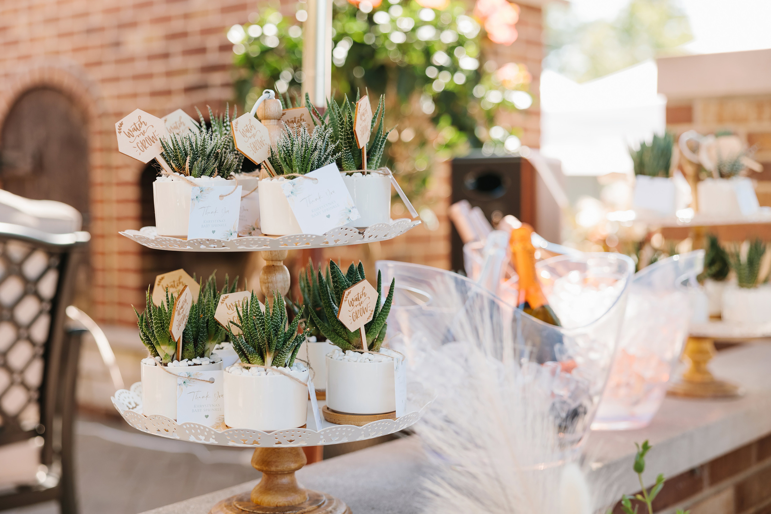 08.15.2021 Baby shower. Wedding family event photographer in Chicago Nick Yushevich