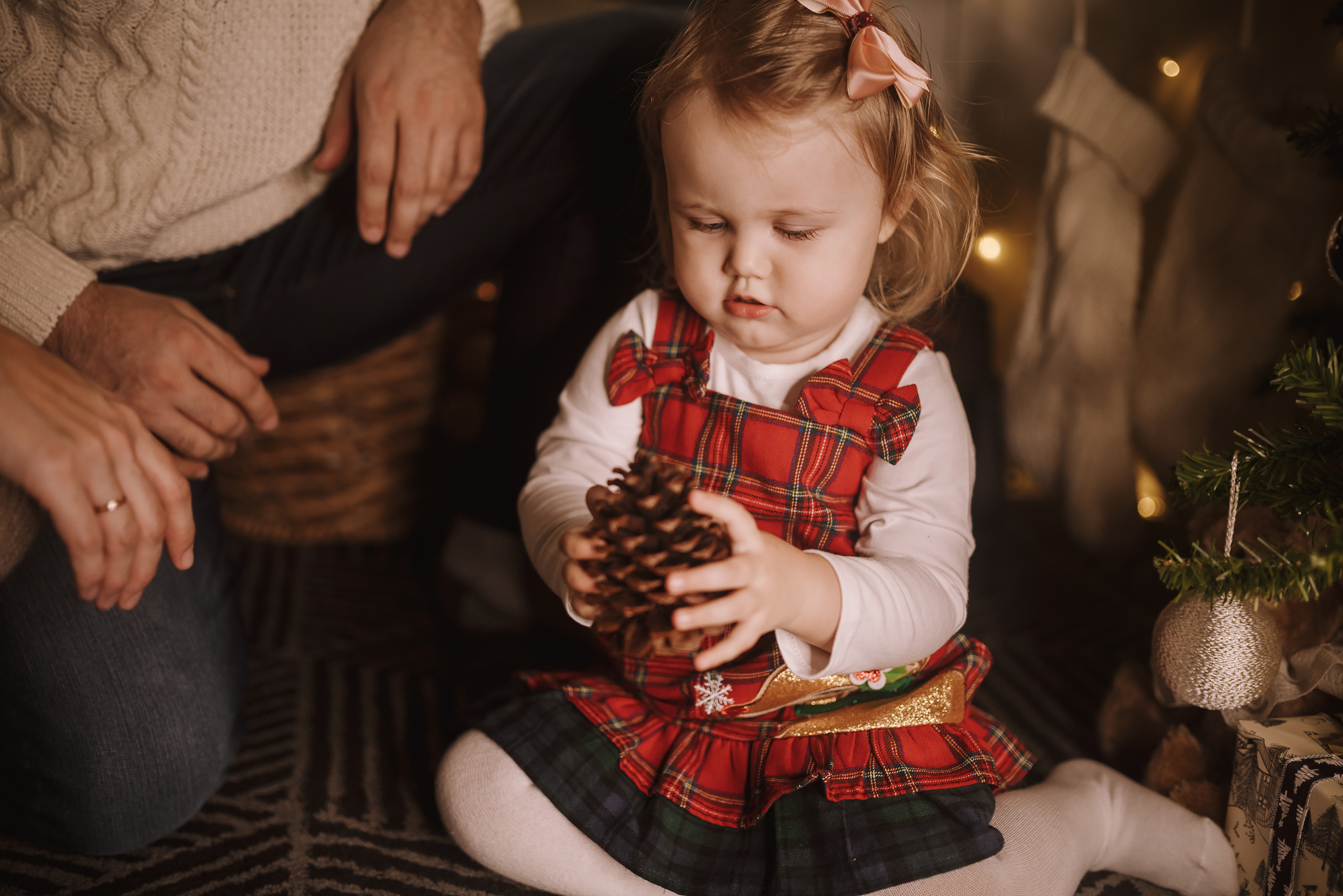 12042021 Christmas Photoshoot 8. Wedding family event photographer in Chicago Nick Yushevich