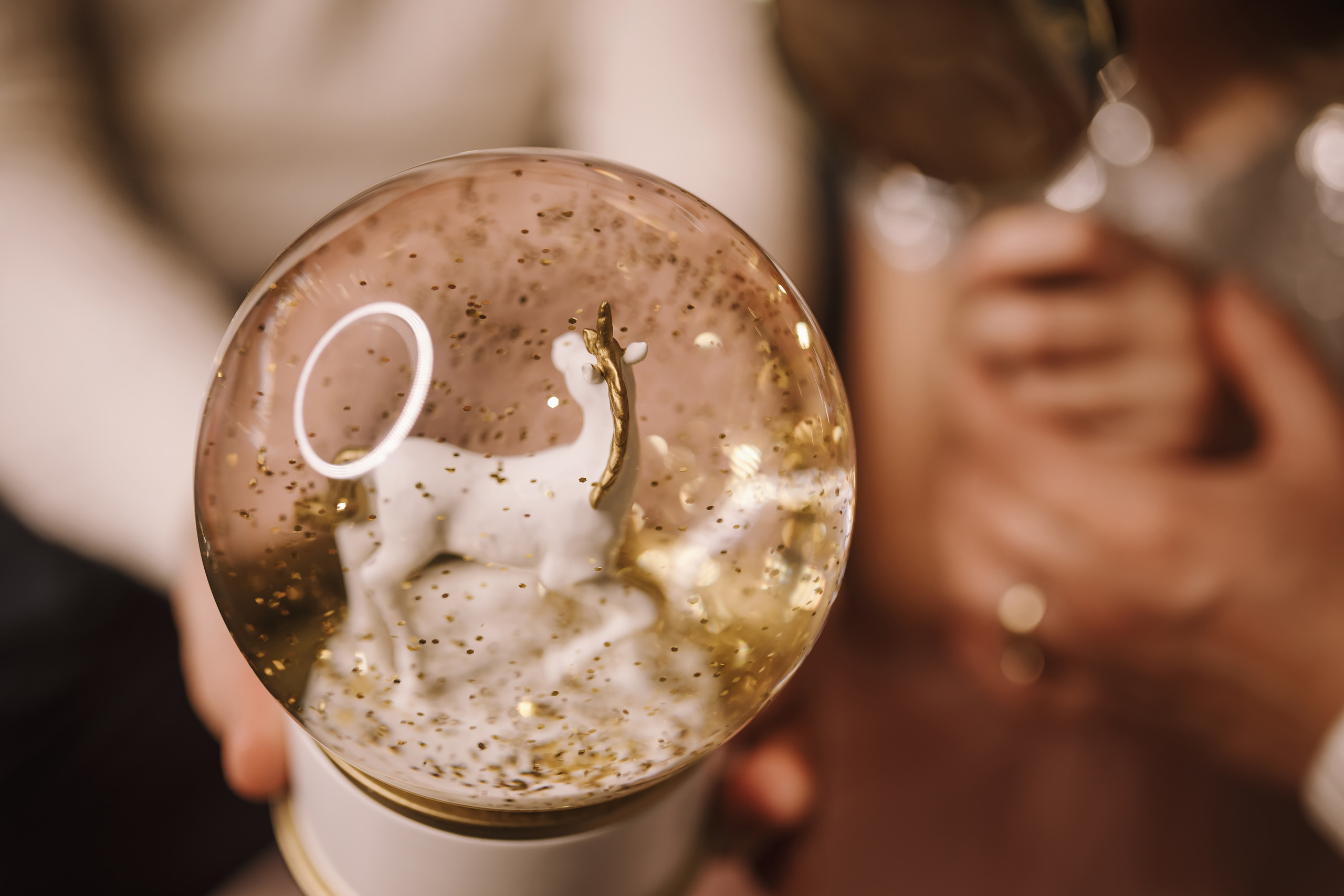 11292021 Christmas Photoshoot 7. Wedding family event photographer in Chicago Nick Yushevich