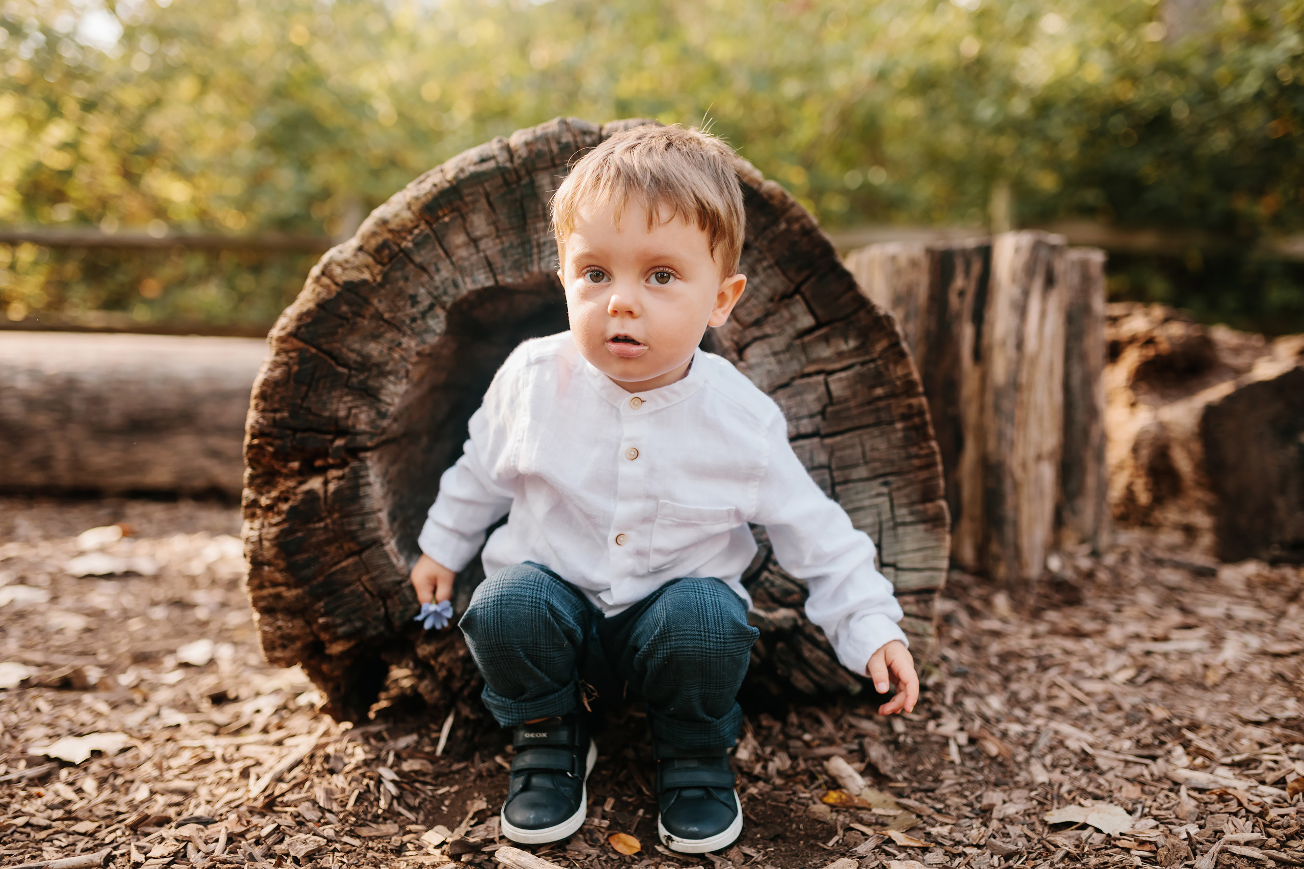 10.02.2021 Family photoshoot. Wedding family event photographer in Chicago Nick Yushevich