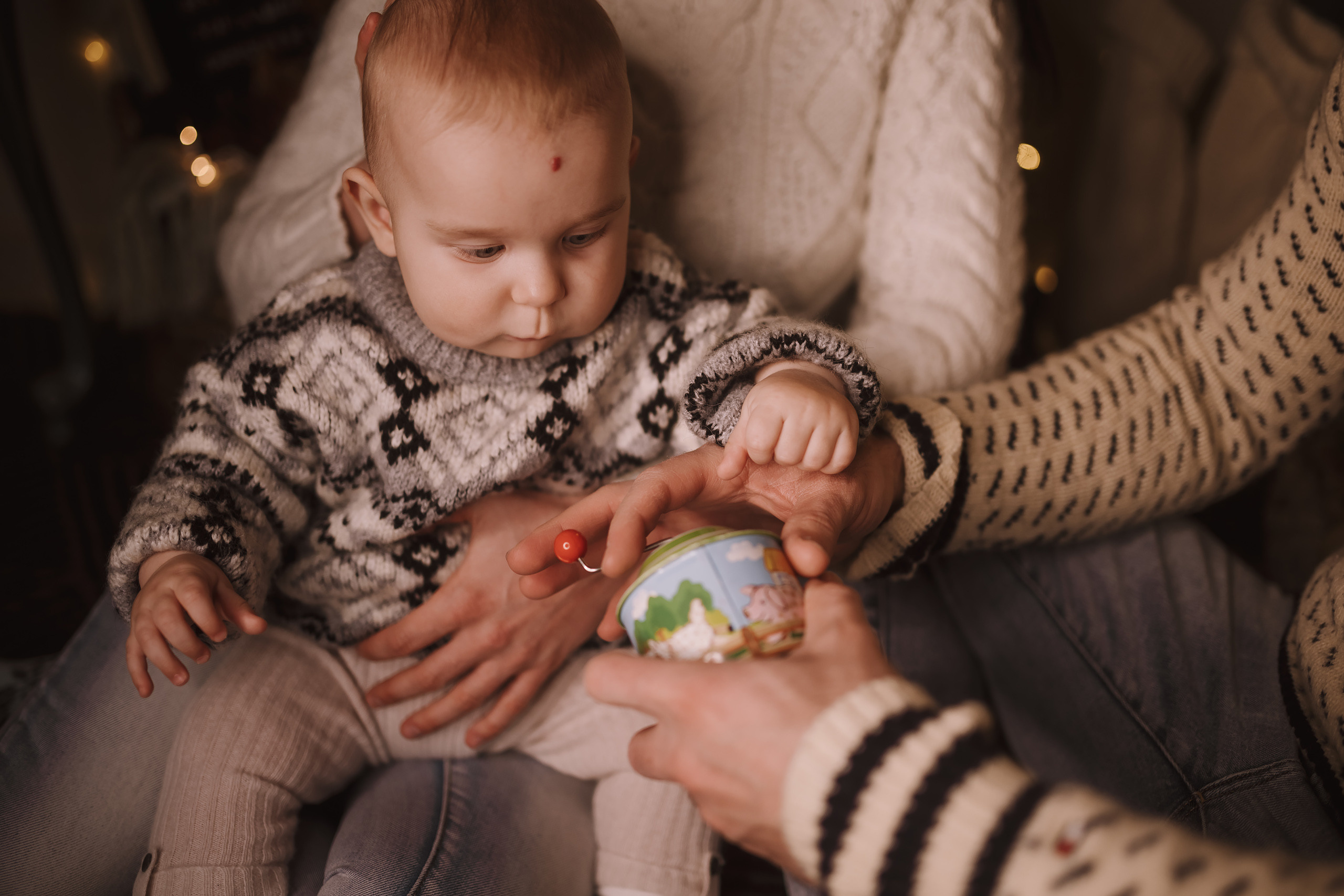 12052021 Christmas Photoshoot 10. Wedding family event photographer in Chicago Nick Yushevich