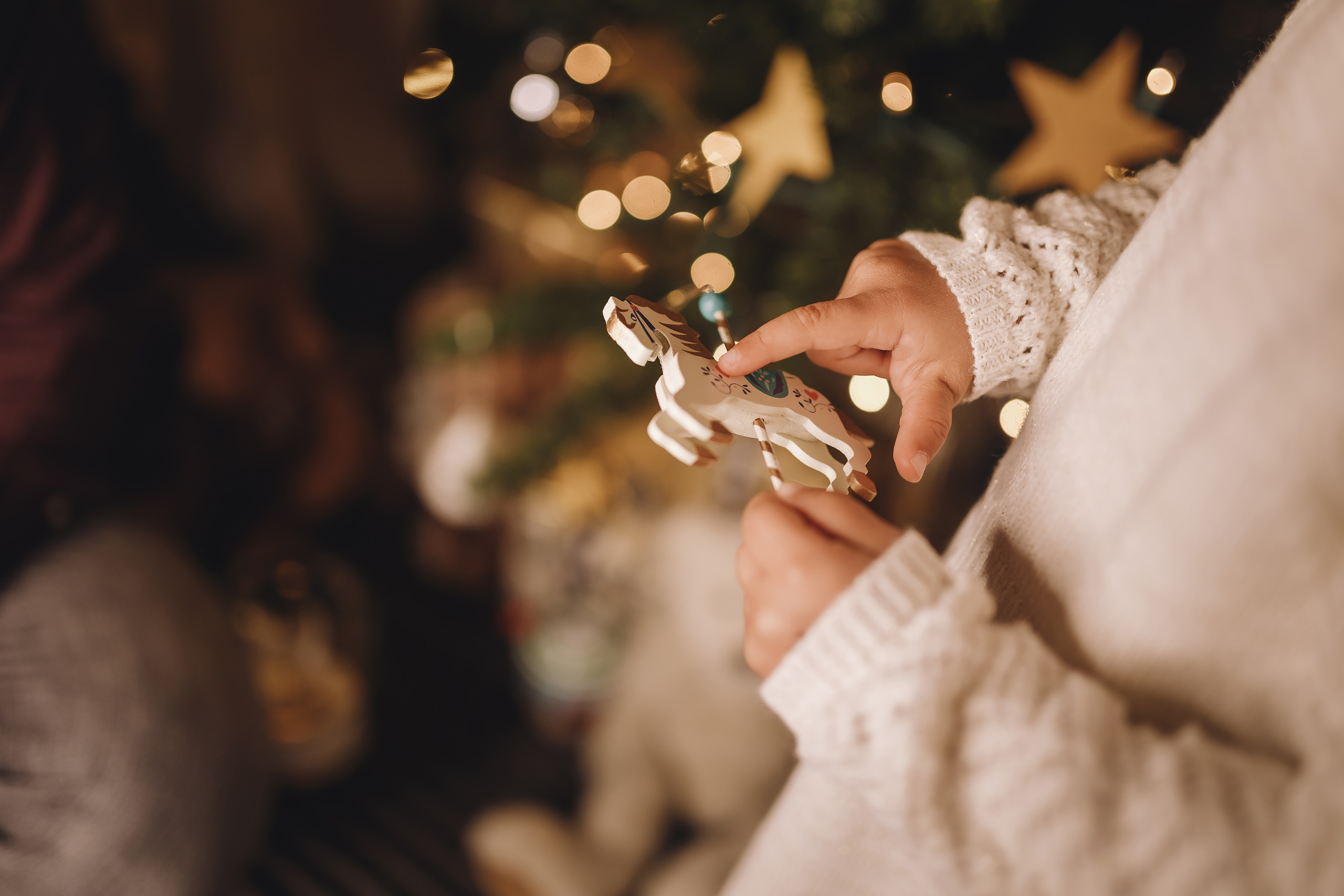 12092021 Christmas Photoshoot 11. Wedding family event photographer in Chicago Nick Yushevich