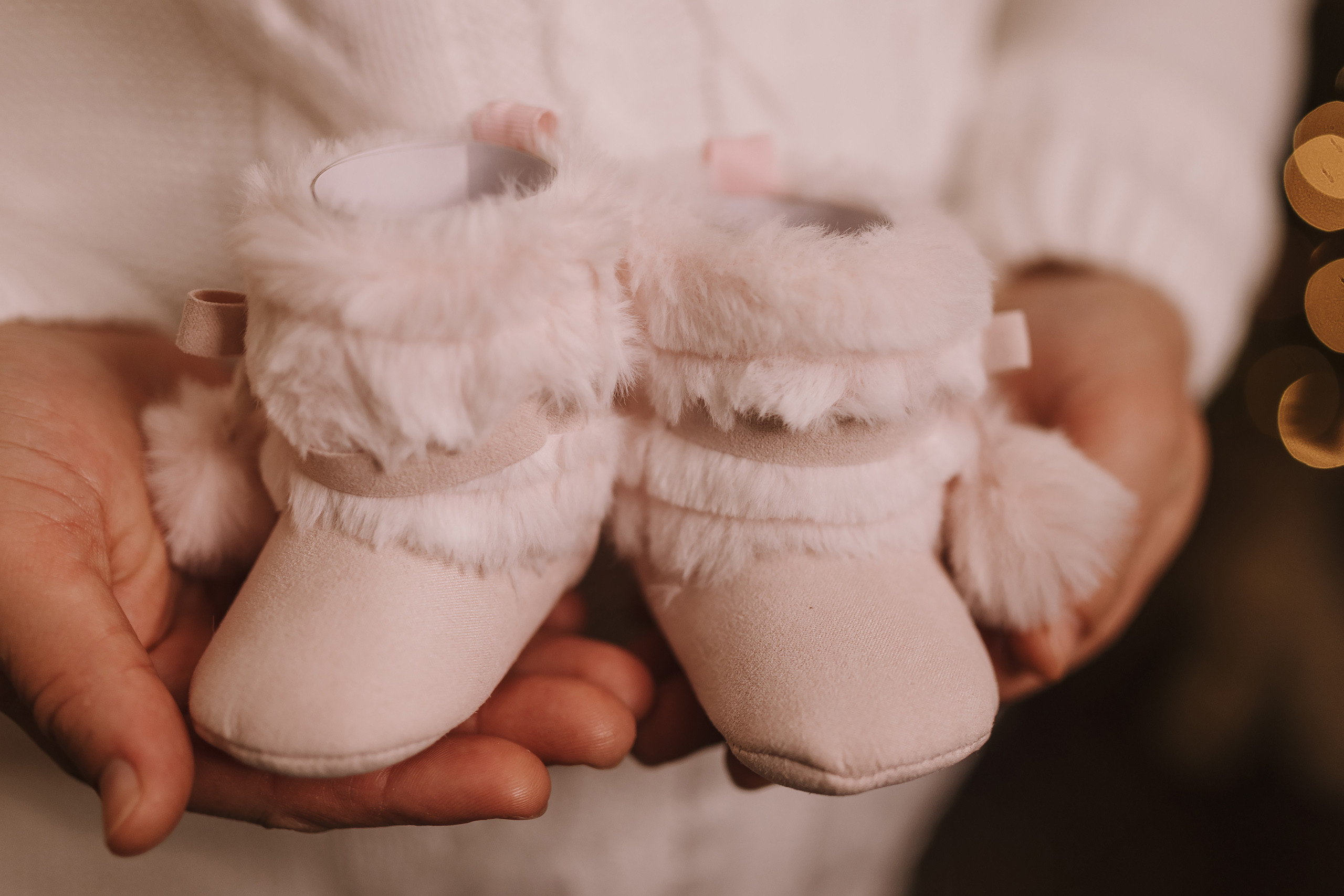 11292021 Christmas Photoshoot 7. Wedding family event photographer in Chicago Nick Yushevich