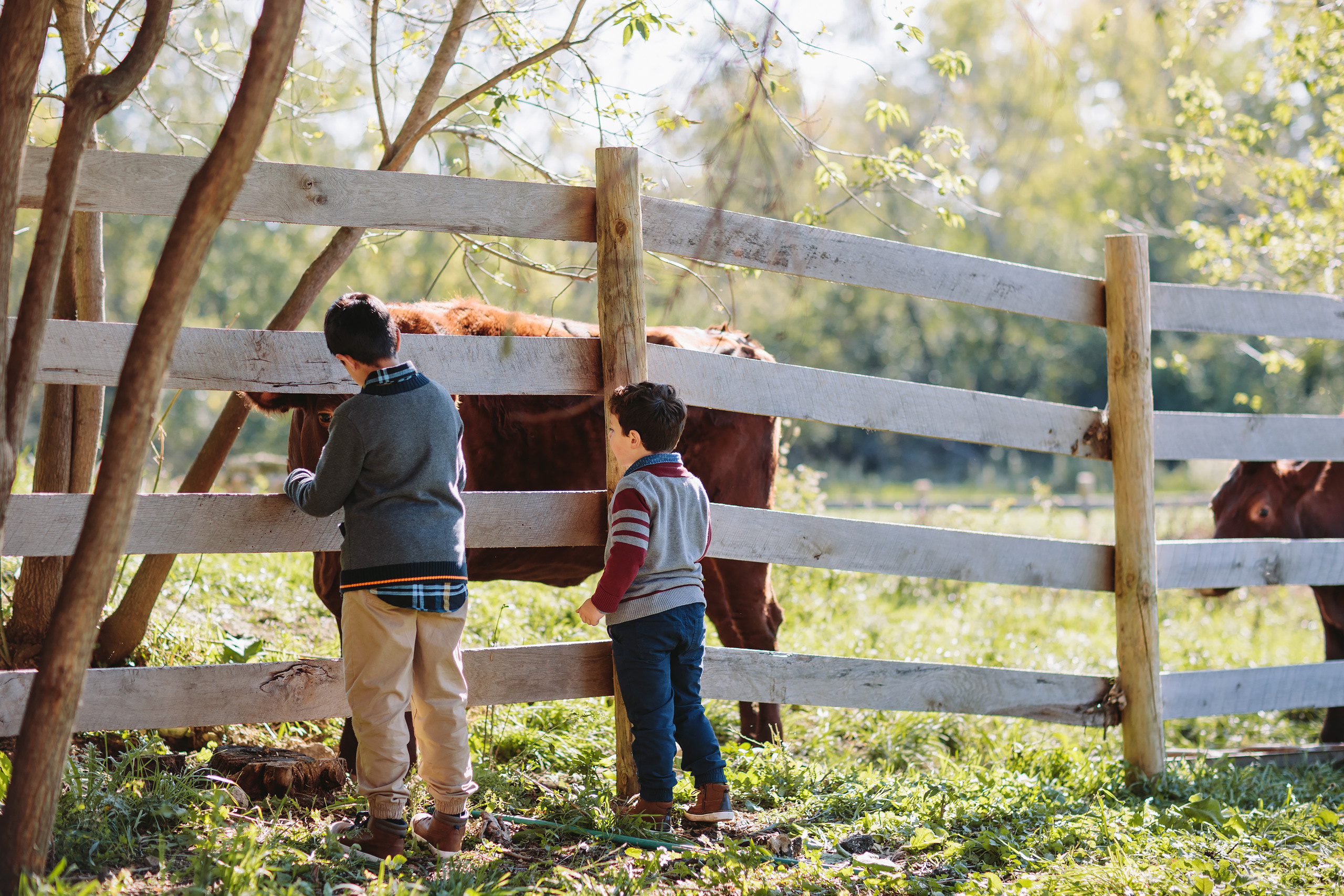 10.17.2021 Family photoshoot. Wedding family event photographer in Chicago Nick Yushevich