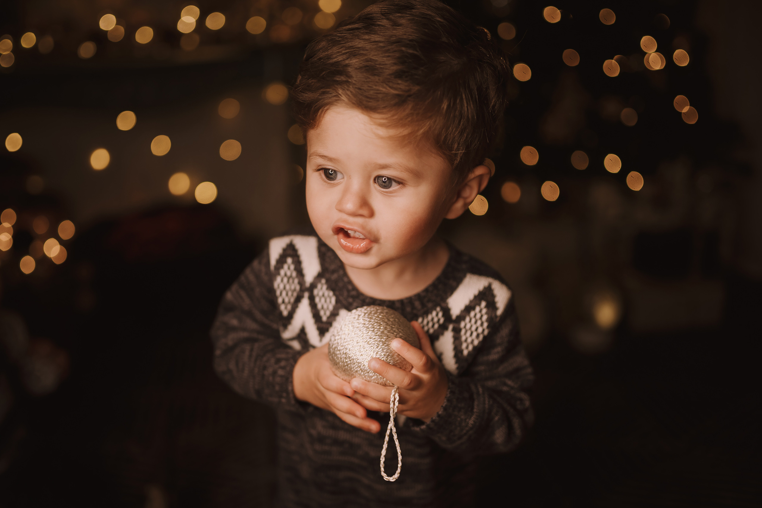 11212021 Christmas Photoshoot 4. Wedding family event photographer in Chicago Nick Yushevich