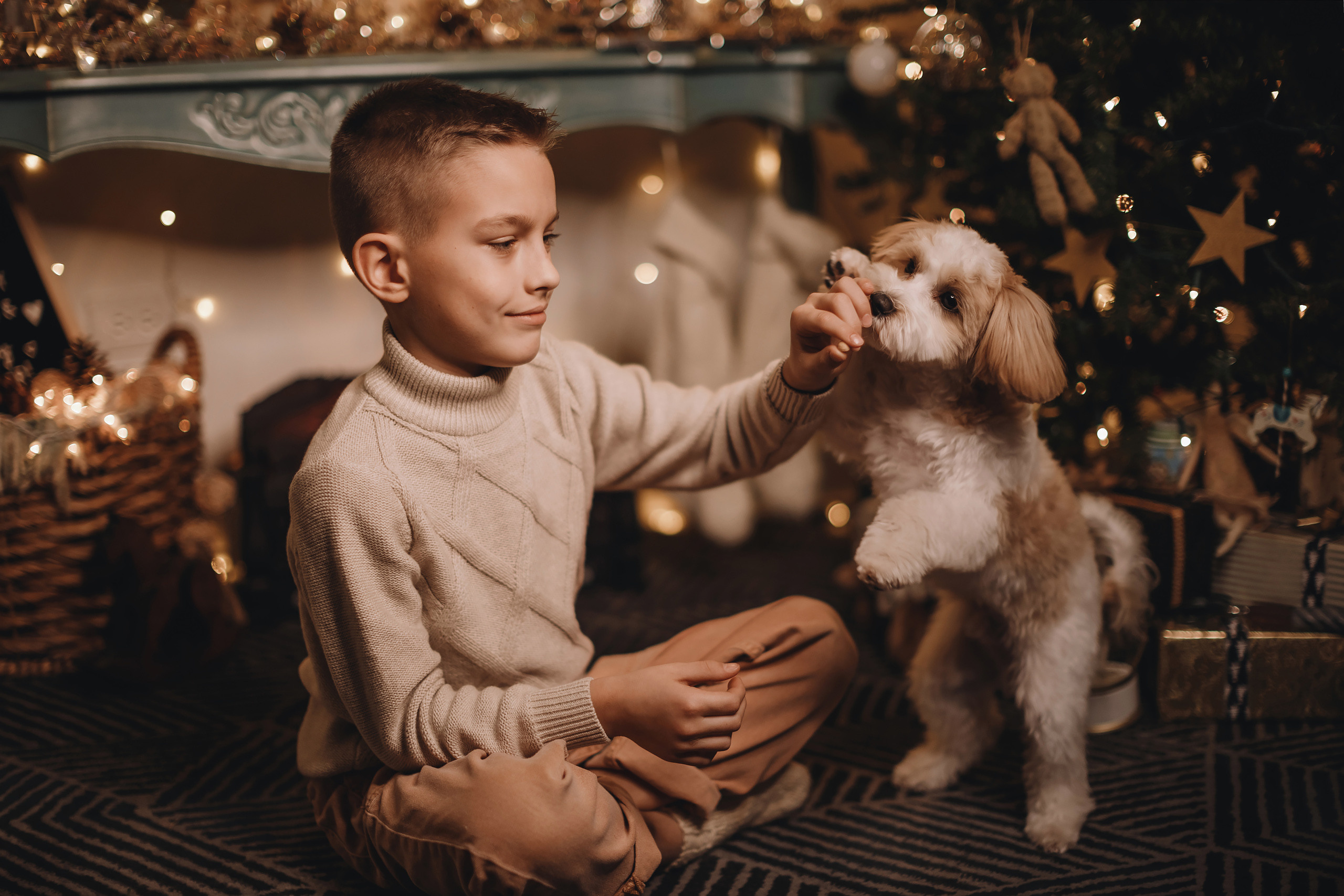 12142021 Christmas Photoshoot 14. Wedding family event photographer in Chicago Nick Yushevich