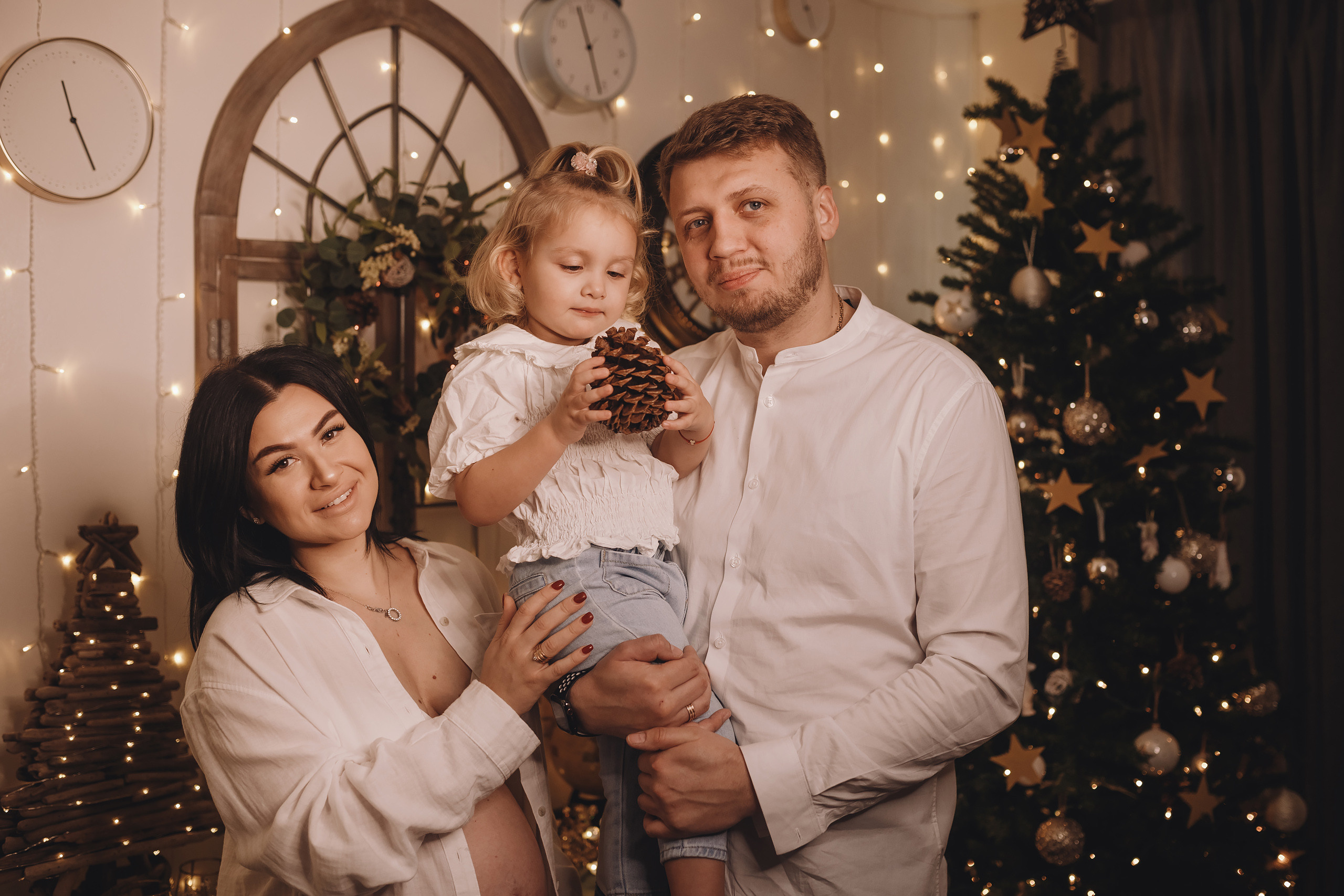 12152021 Christmas Photoshoot 15. Wedding family event photographer in Chicago Nick Yushevich