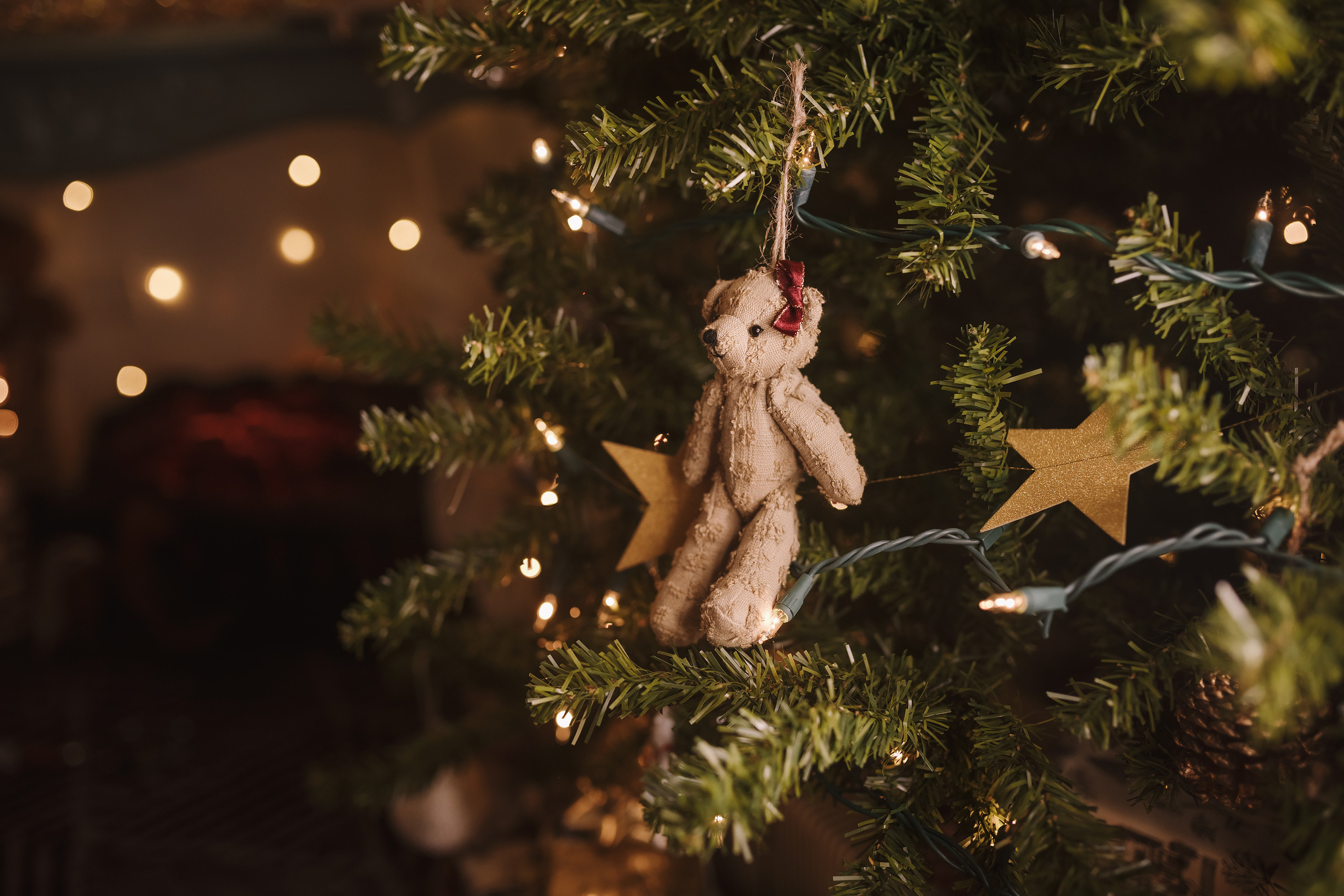 12042021 Christmas Photoshoot 9. Wedding family event photographer in Chicago Nick Yushevich