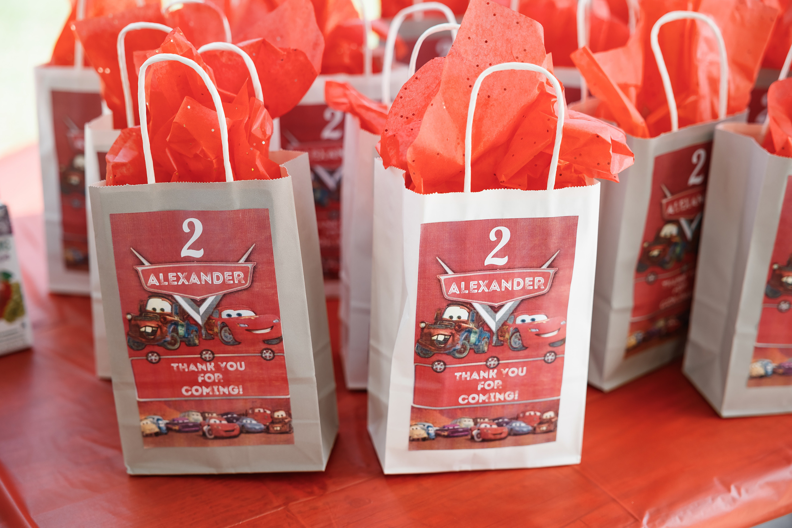 08.22.2021 Birthday photoshoot. Wedding family event photographer in Chicago Nick Yushevich