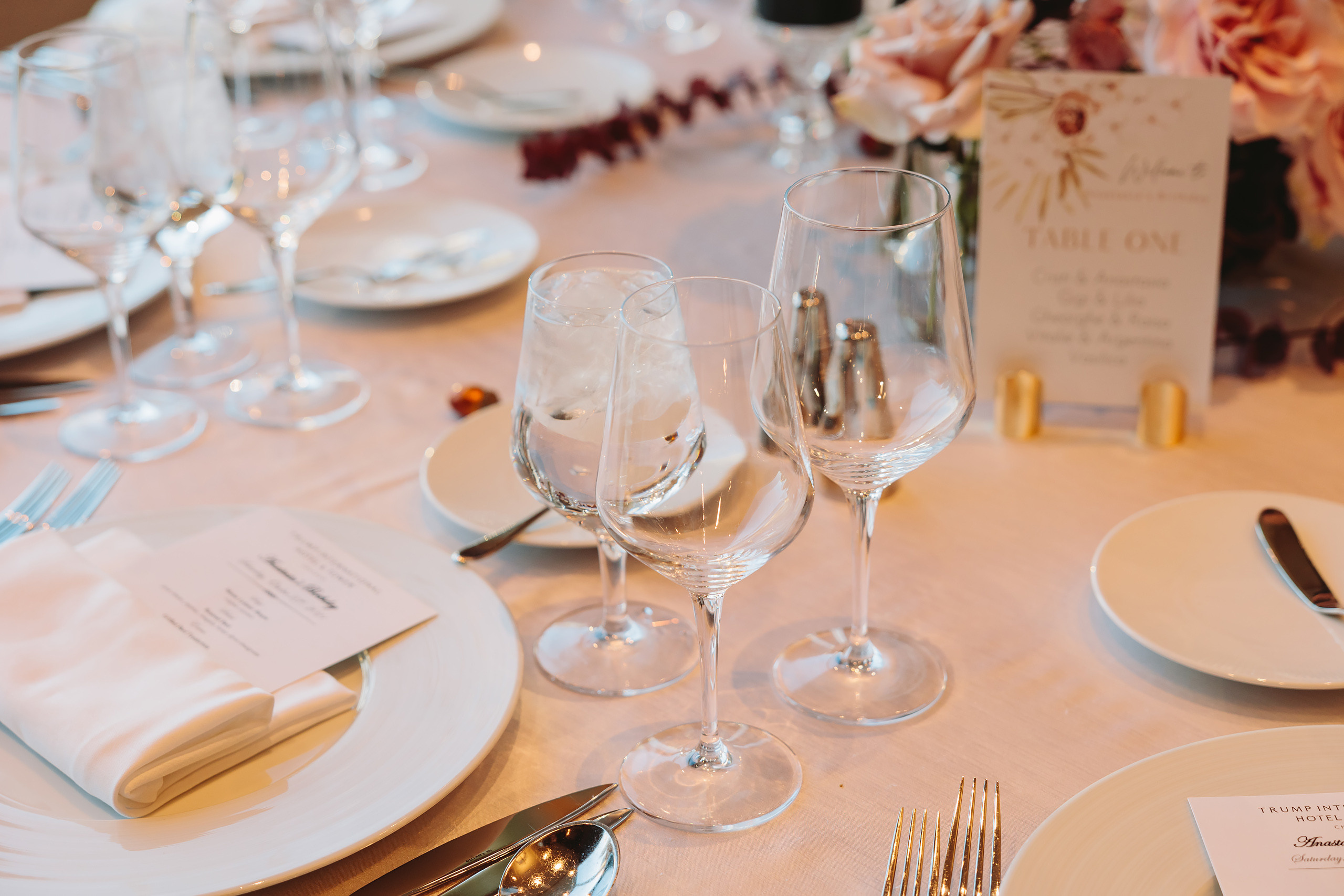 10.23.2021 Anastasia’s Birthday Party. Wedding family event photographer in Chicago Nick Yushevich