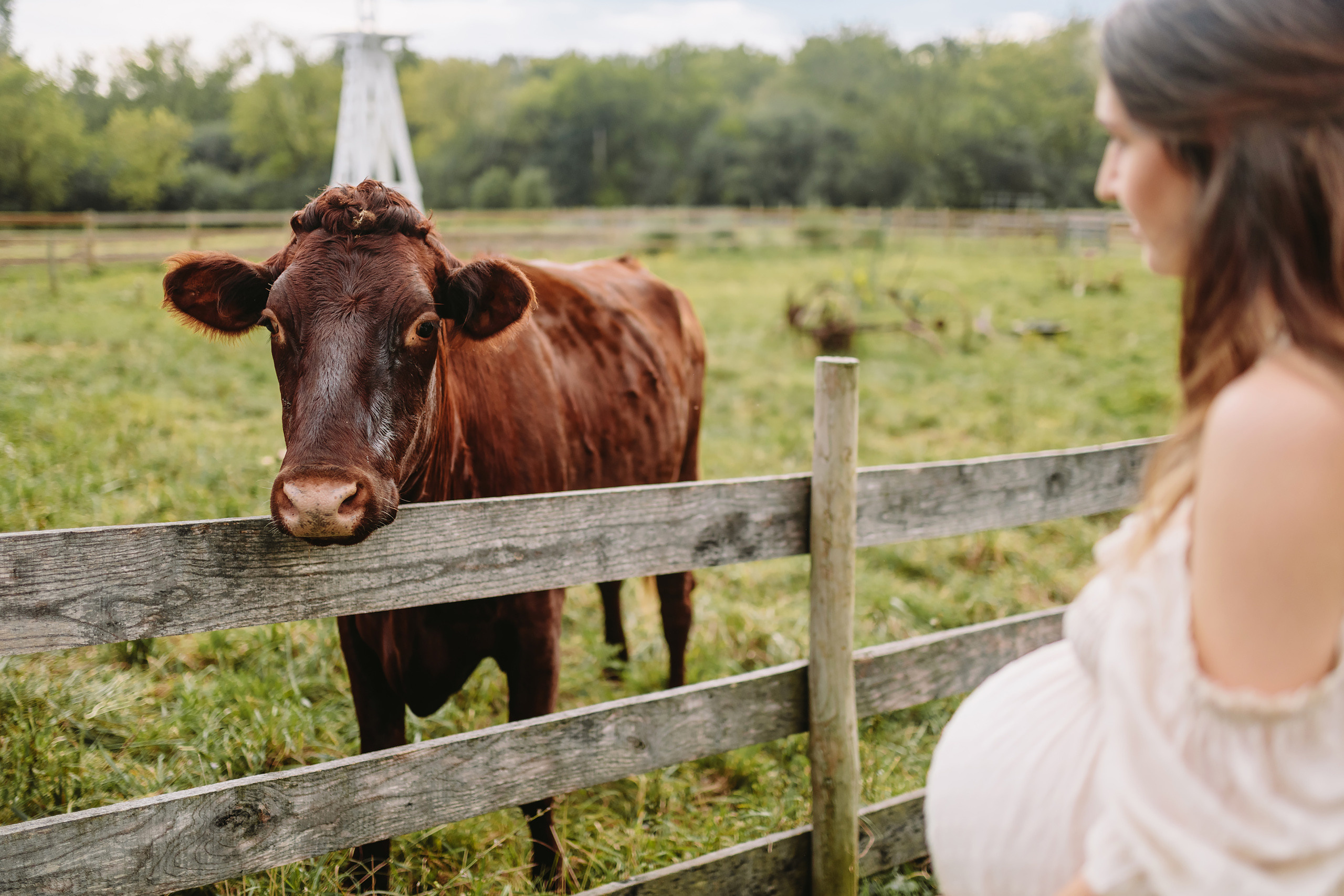 09.17.2021 Family photoshoot. Wedding family event photographer in Chicago Nick Yushevich