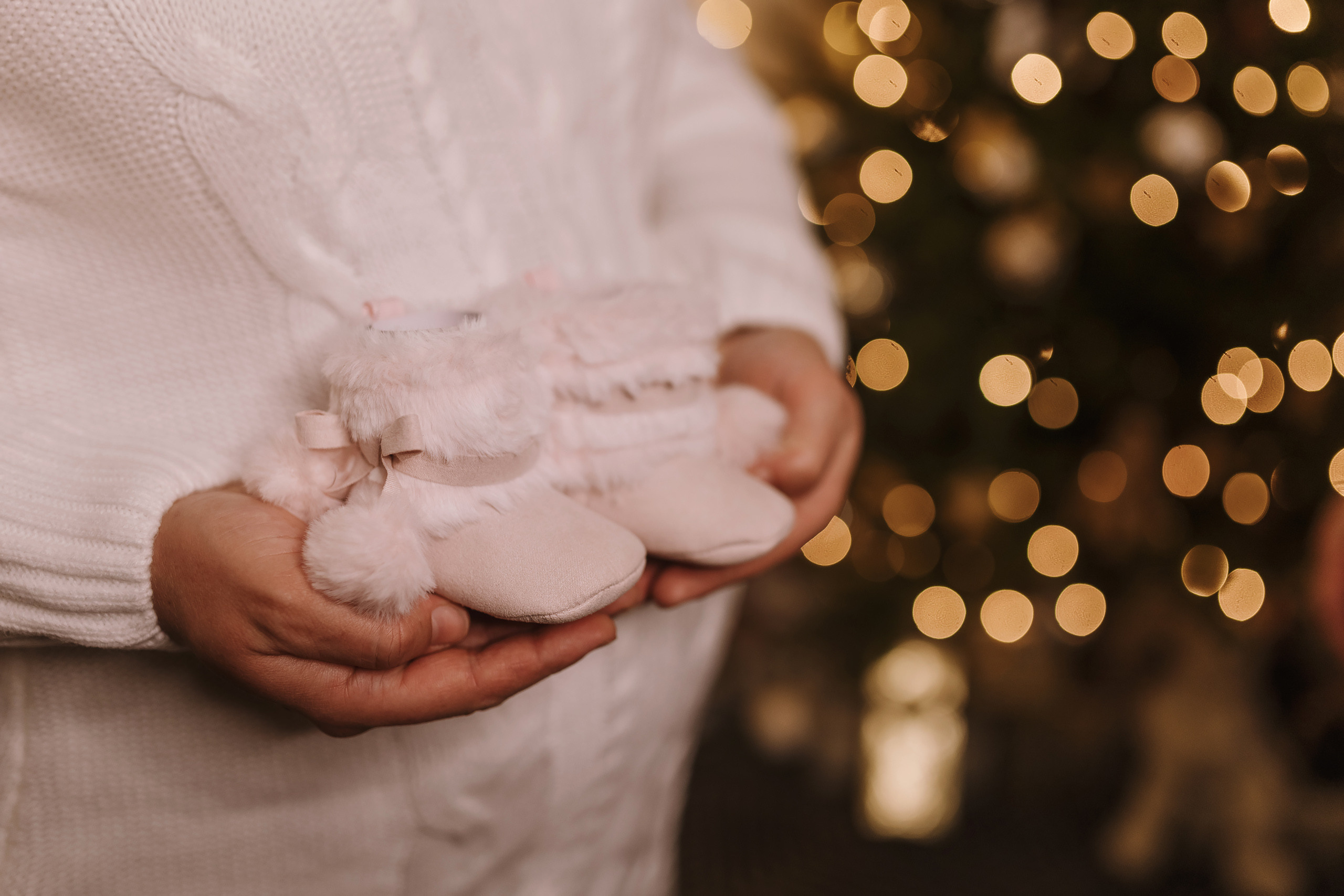 11292021 Christmas Photoshoot 7. Wedding family event photographer in Chicago Nick Yushevich