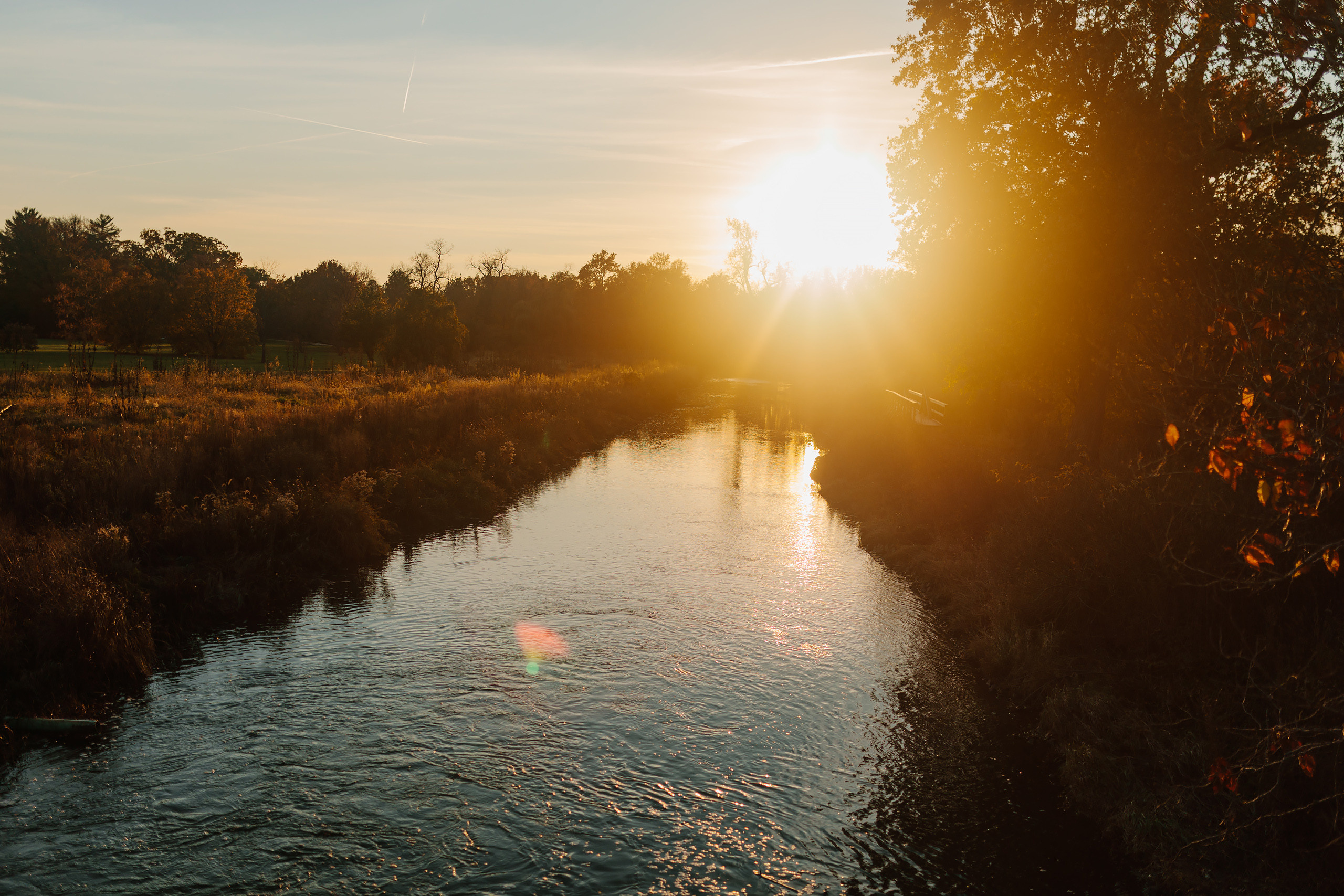 11.05.2021 Family photoshoot. Wedding family event photographer in Chicago Nick Yushevich