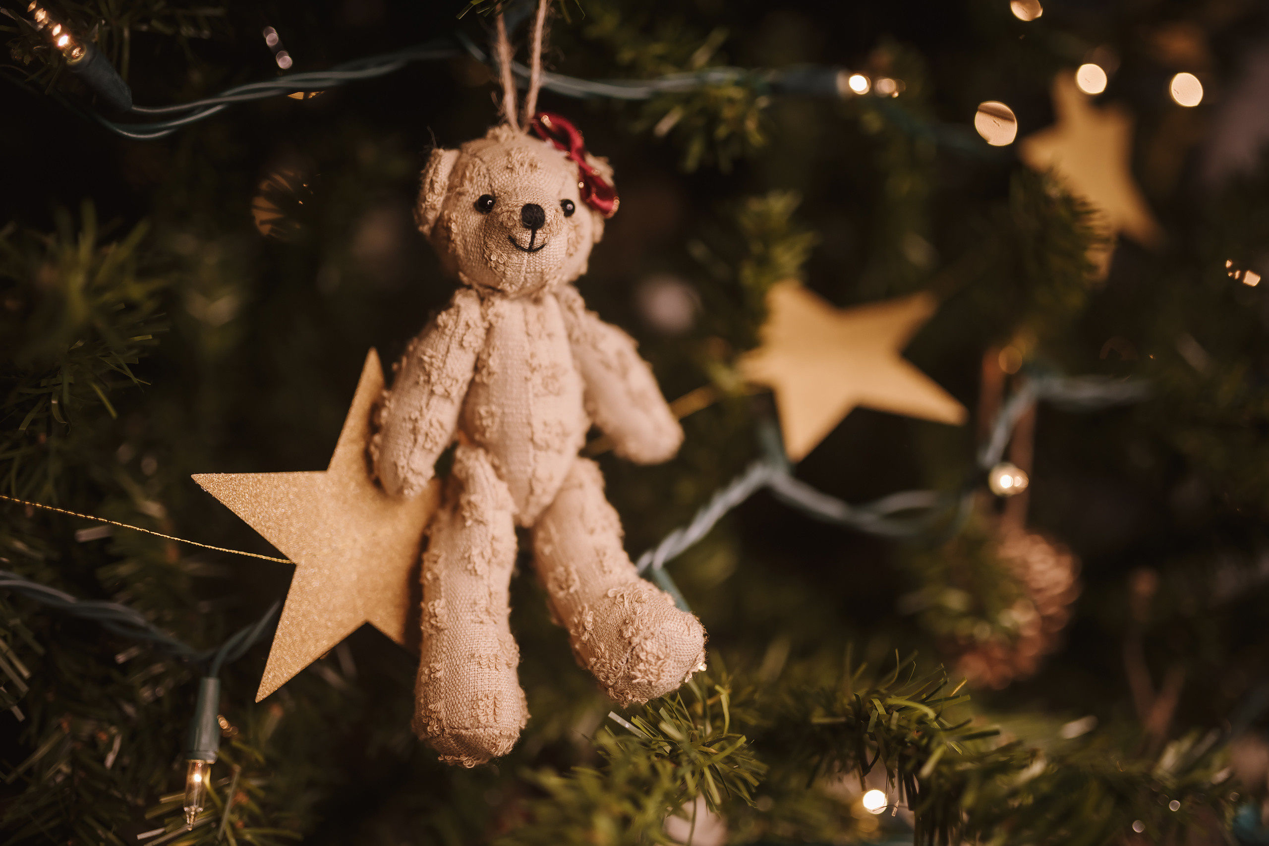 12042021 Christmas Photoshoot 9. Wedding family event photographer in Chicago Nick Yushevich