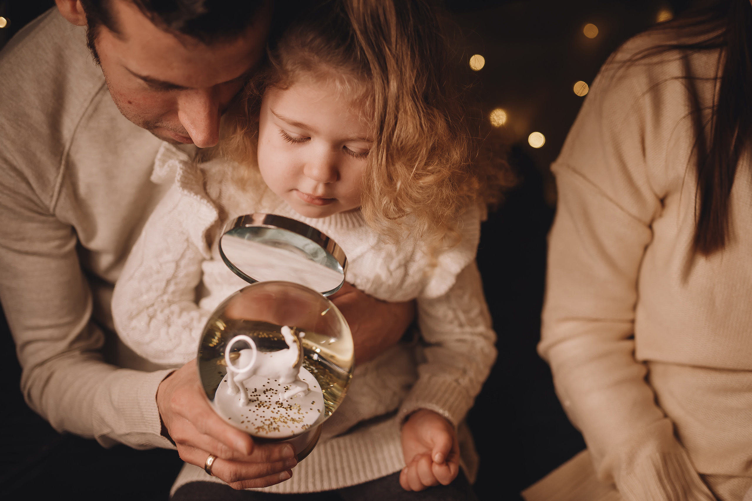 12112021 Christmas Photoshoot 12. Wedding family event photographer in Chicago Nick Yushevich