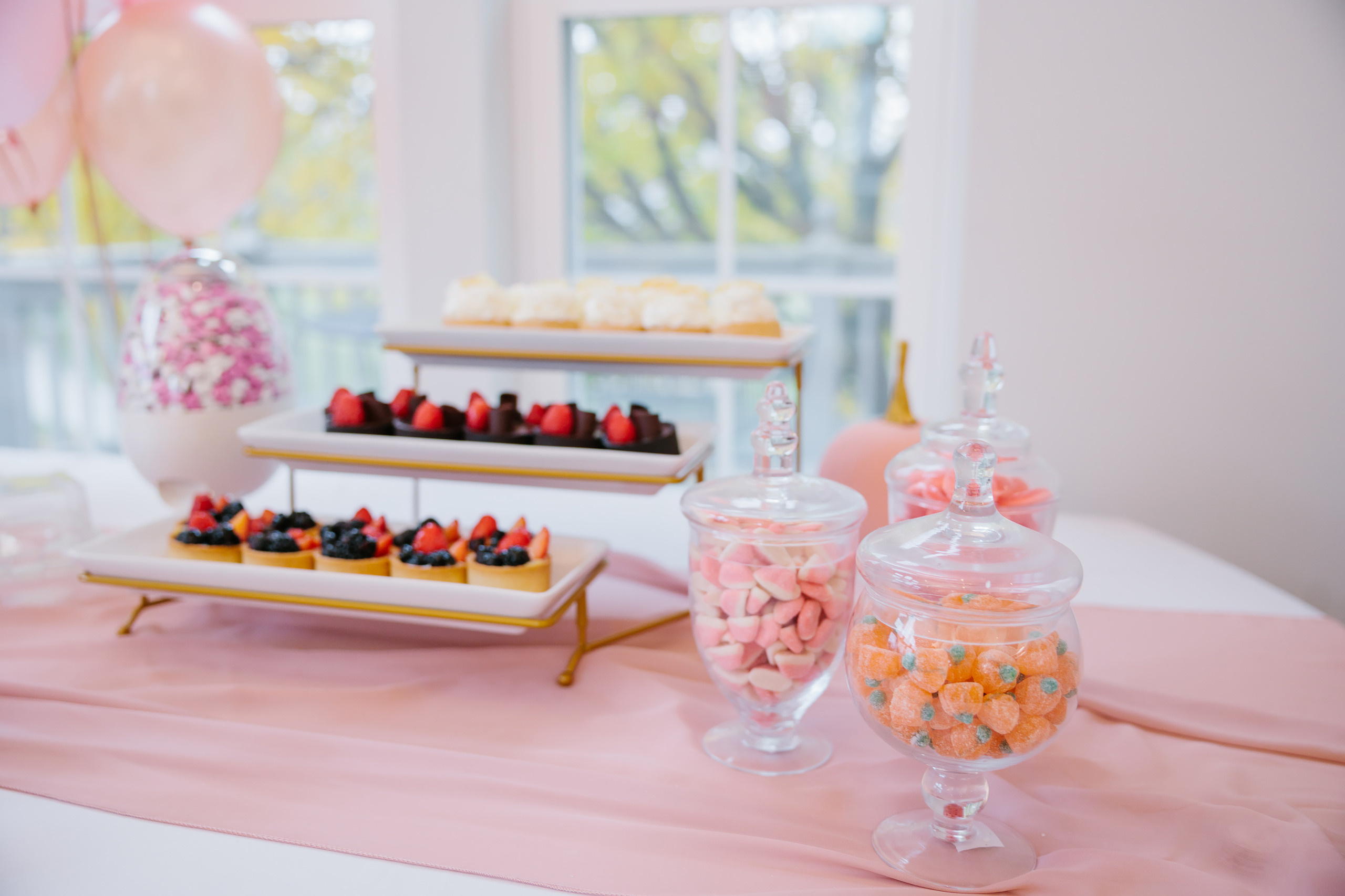 11.13.2021 First birthday. Wedding family event photographer in Chicago Nick Yushevich