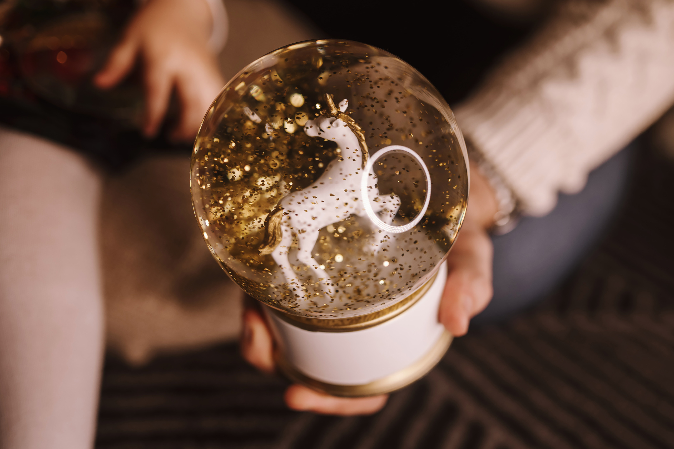 12042021 Christmas Photoshoot 8. Wedding family event photographer in Chicago Nick Yushevich