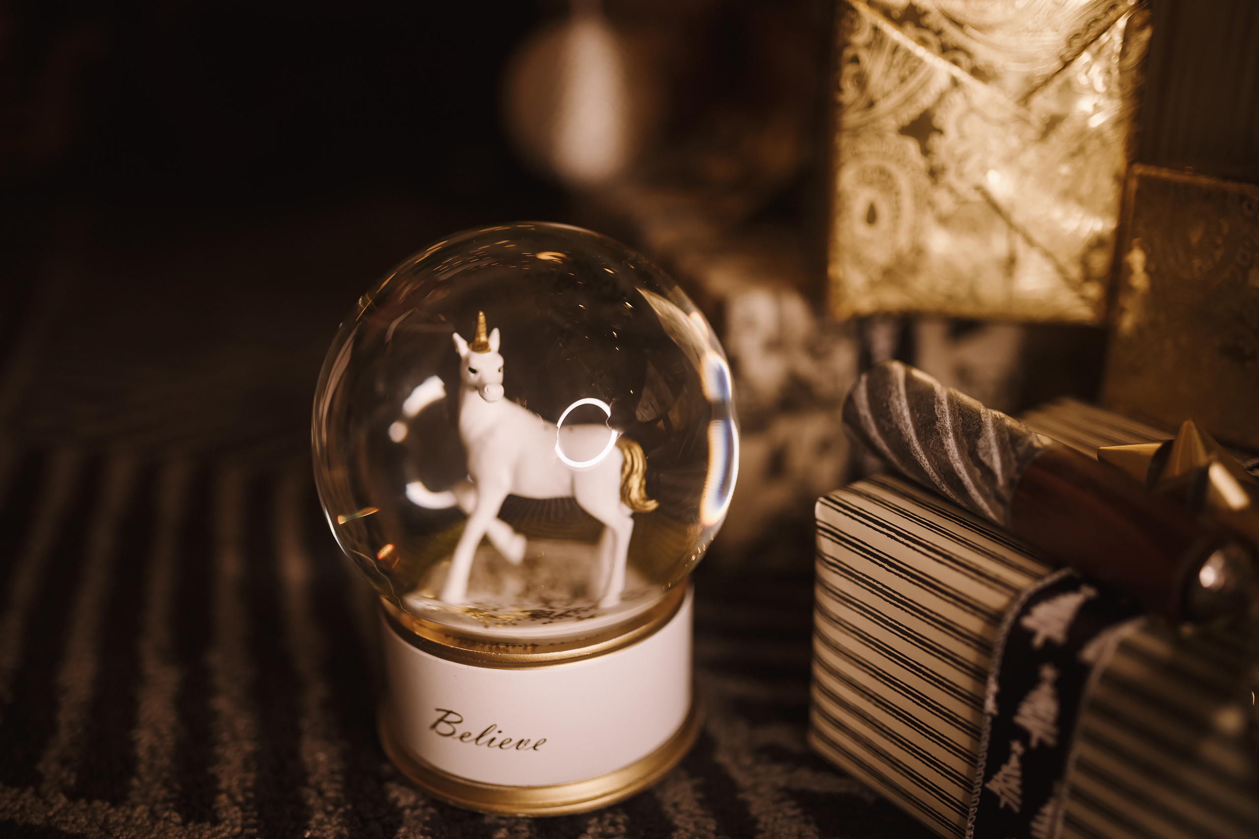 12042021 Christmas Photoshoot 9. Wedding family event photographer in Chicago Nick Yushevich