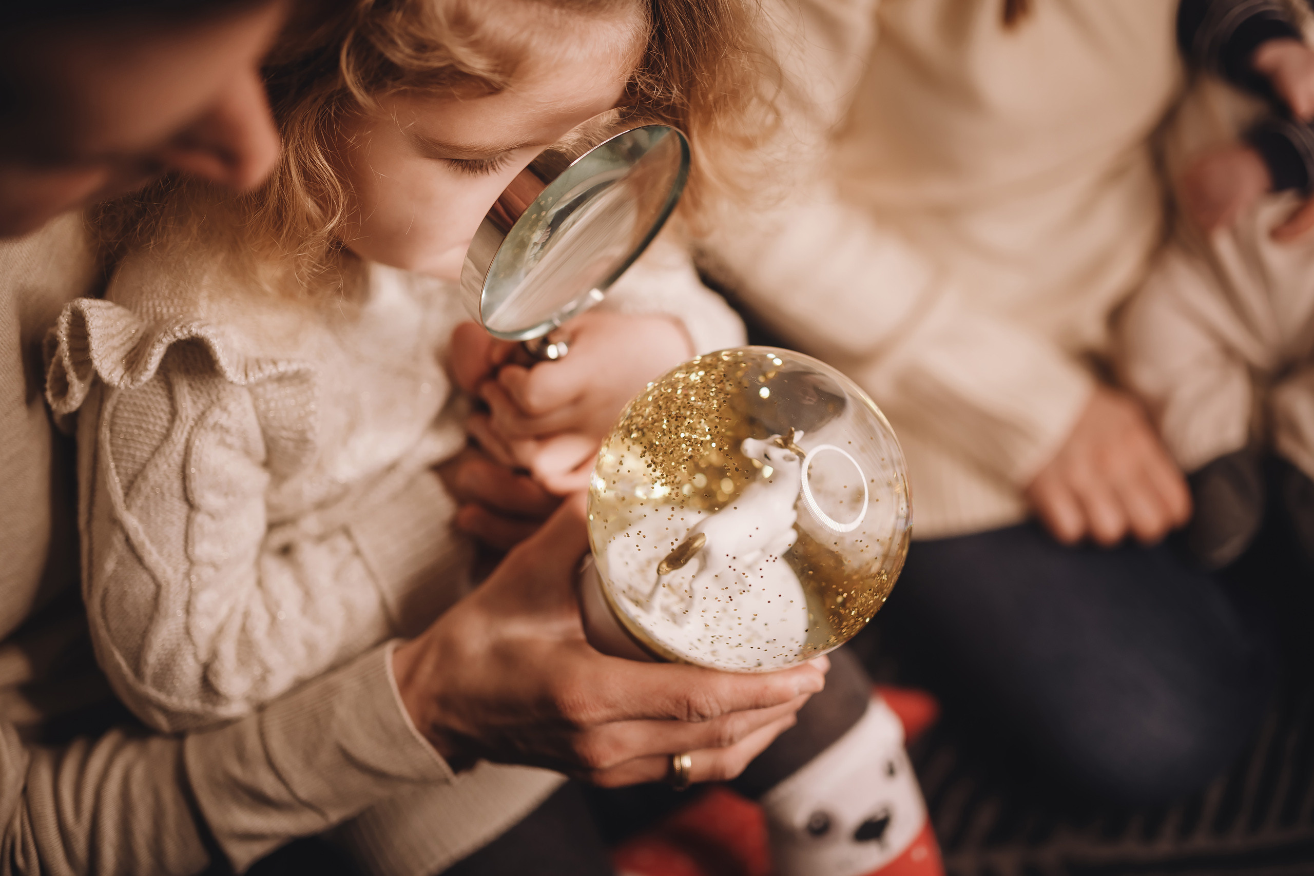 12112021 Christmas Photoshoot 12. Wedding family event photographer in Chicago Nick Yushevich