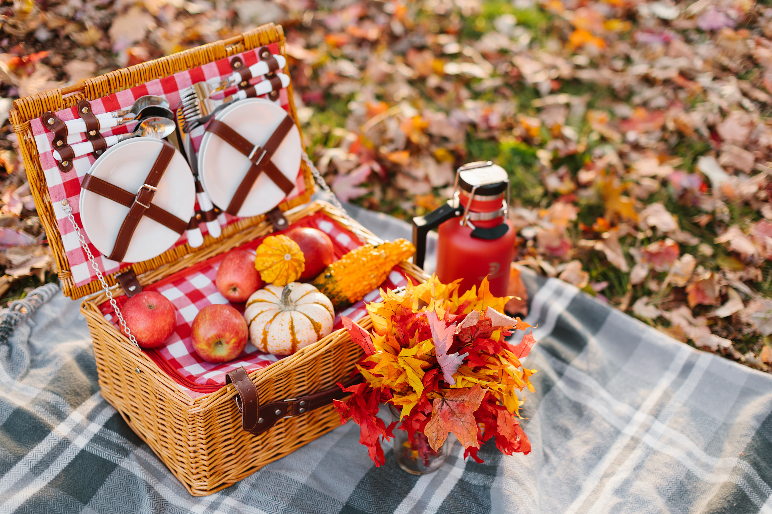 11.05.2021 Family photoshoot. Wedding family event photographer in Chicago Nick Yushevich