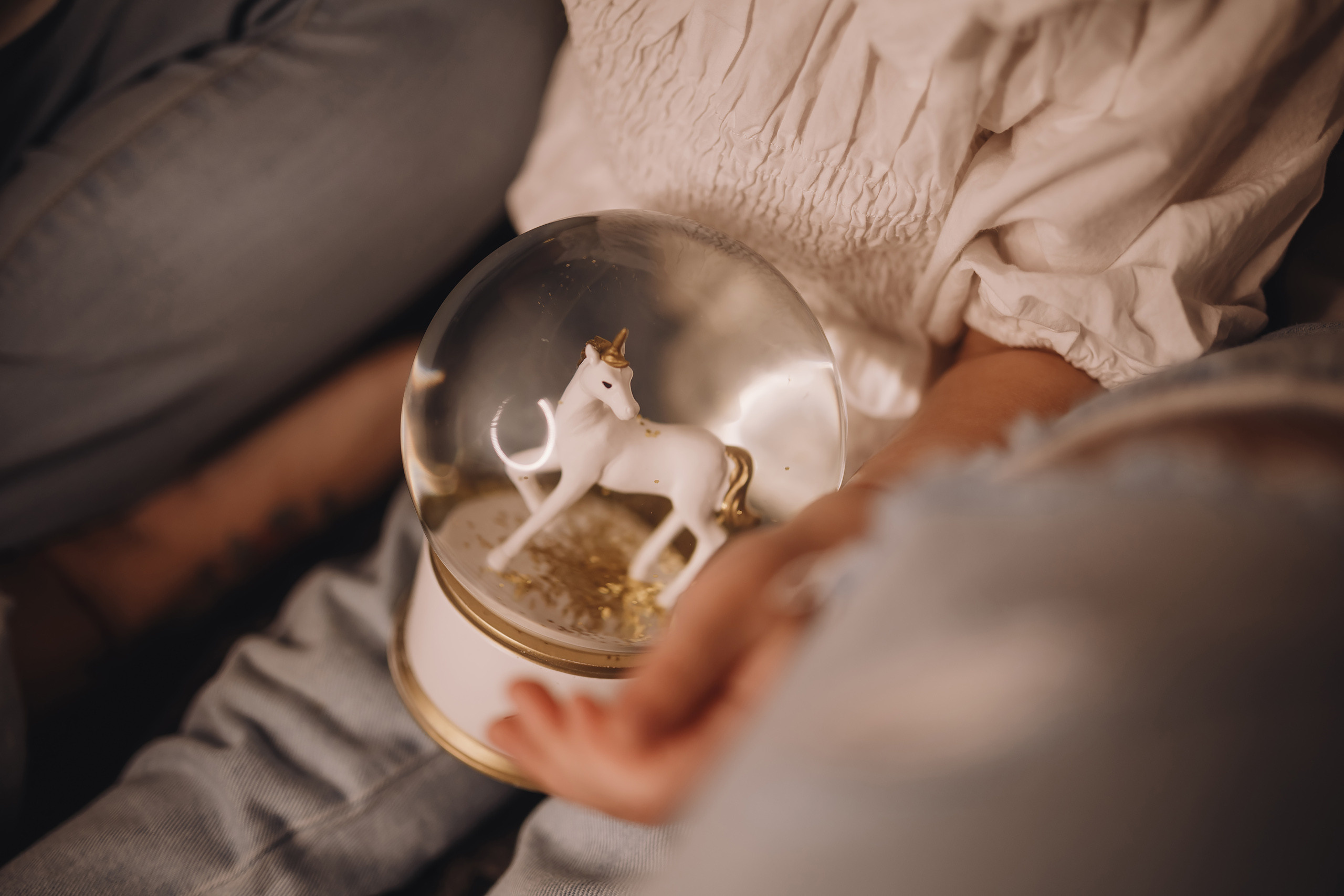 12152021 Christmas Photoshoot 15. Wedding family event photographer in Chicago Nick Yushevich