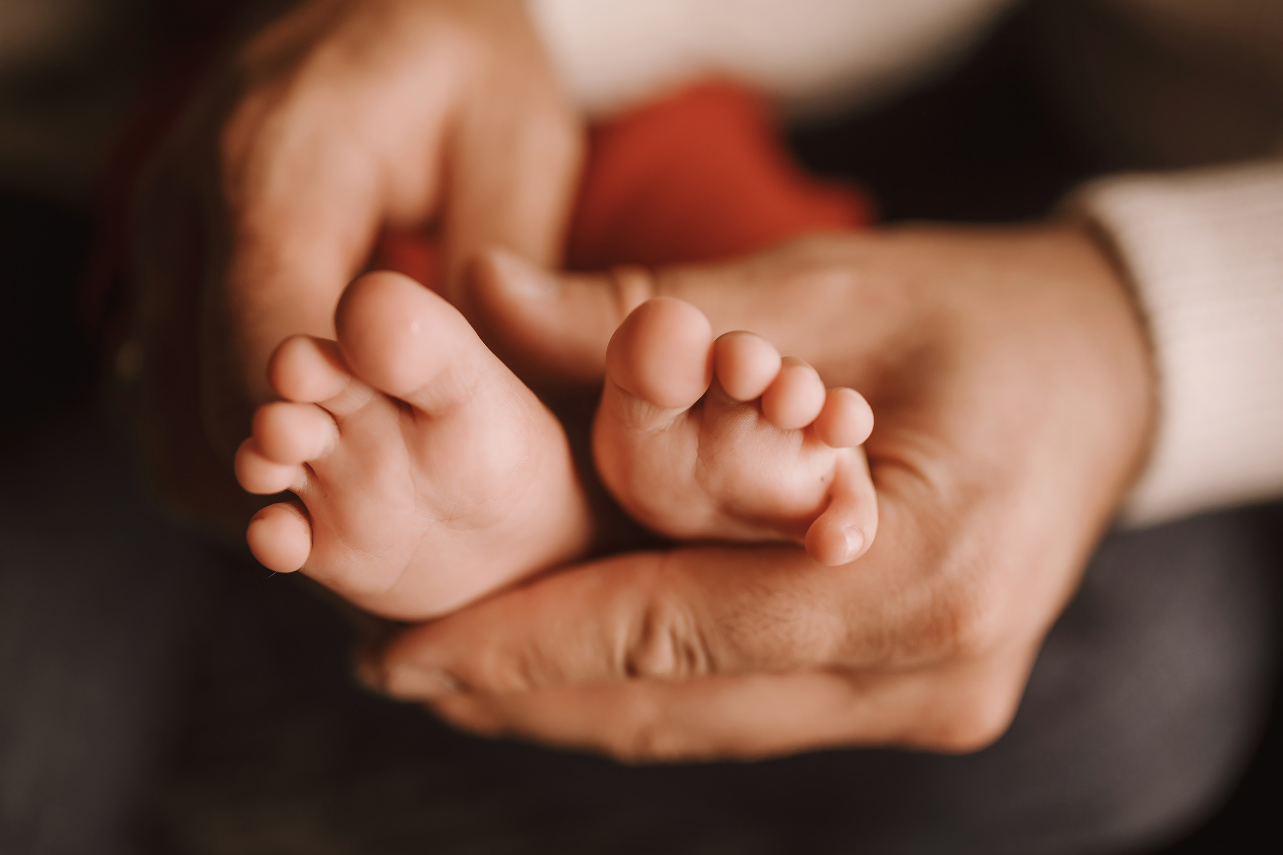 11182021 Christmas Photoshoot 2. Wedding family event photographer in Chicago Nick Yushevich