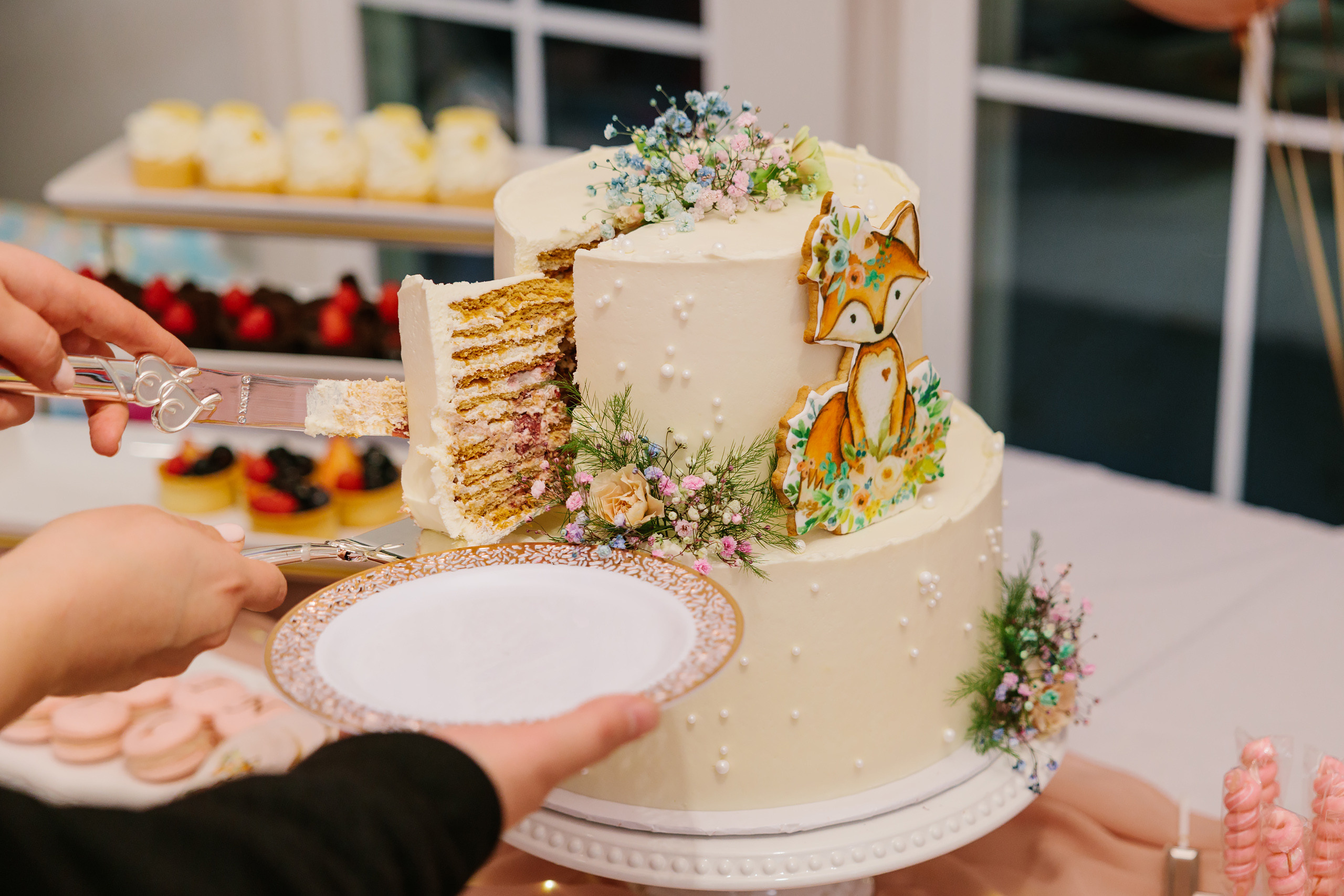 11.13.2021 First birthday. Wedding family event photographer in Chicago Nick Yushevich