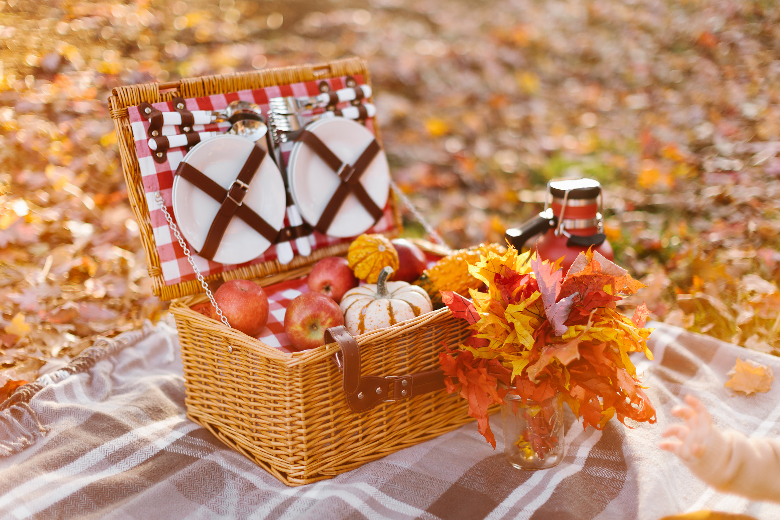 11.05.2021 Family photoshoot. Wedding family event photographer in Chicago Nick Yushevich
