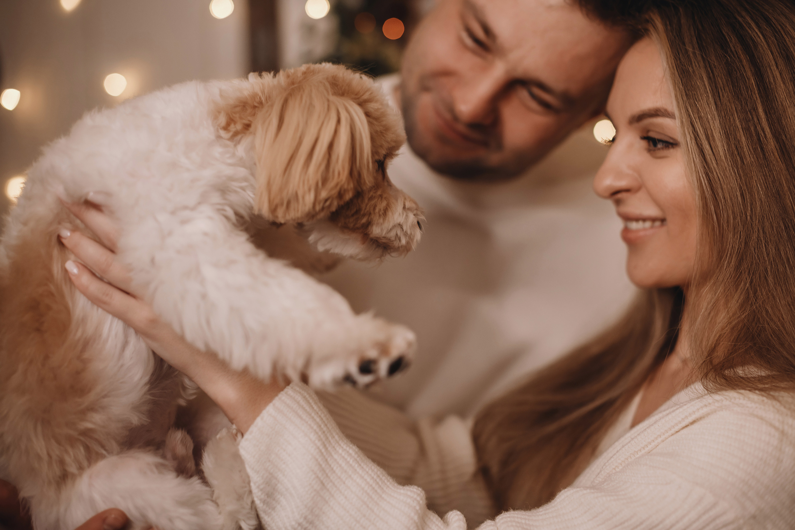 12142021 Christmas Photoshoot 14. Wedding family event photographer in Chicago Nick Yushevich