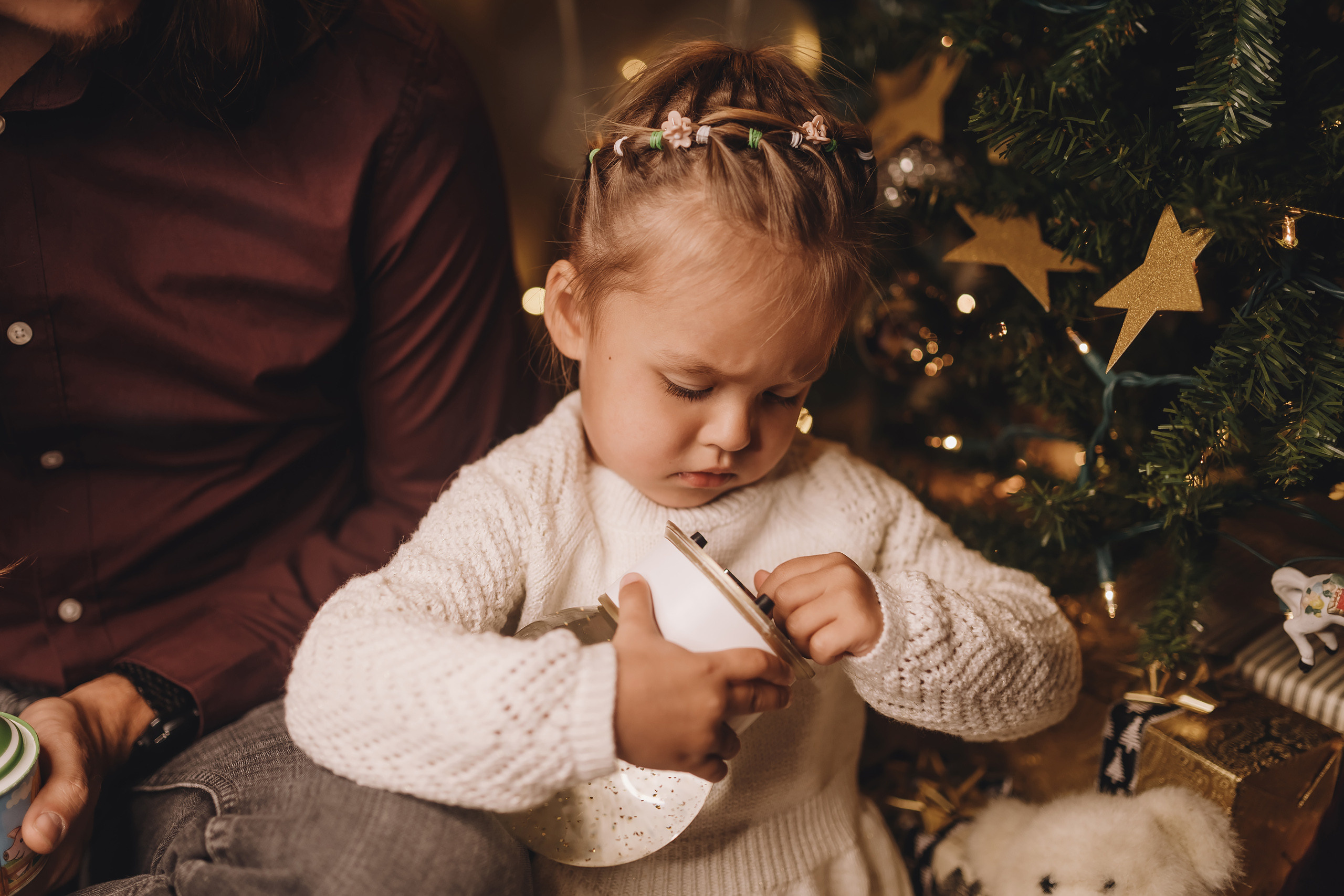 12092021 Christmas Photoshoot 11. Wedding family event photographer in Chicago Nick Yushevich