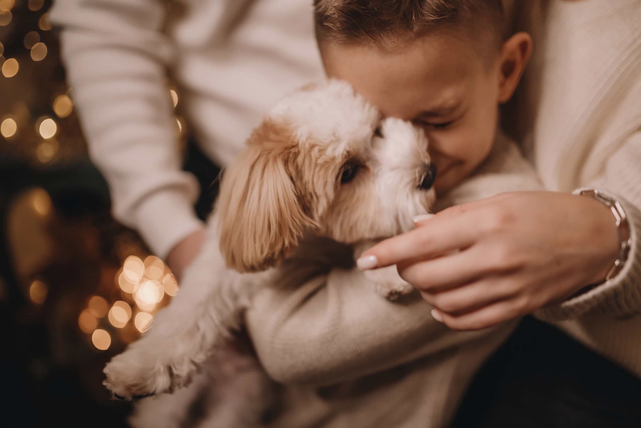 12142021 Christmas Photoshoot 14. Wedding family event photographer in Chicago Nick Yushevich