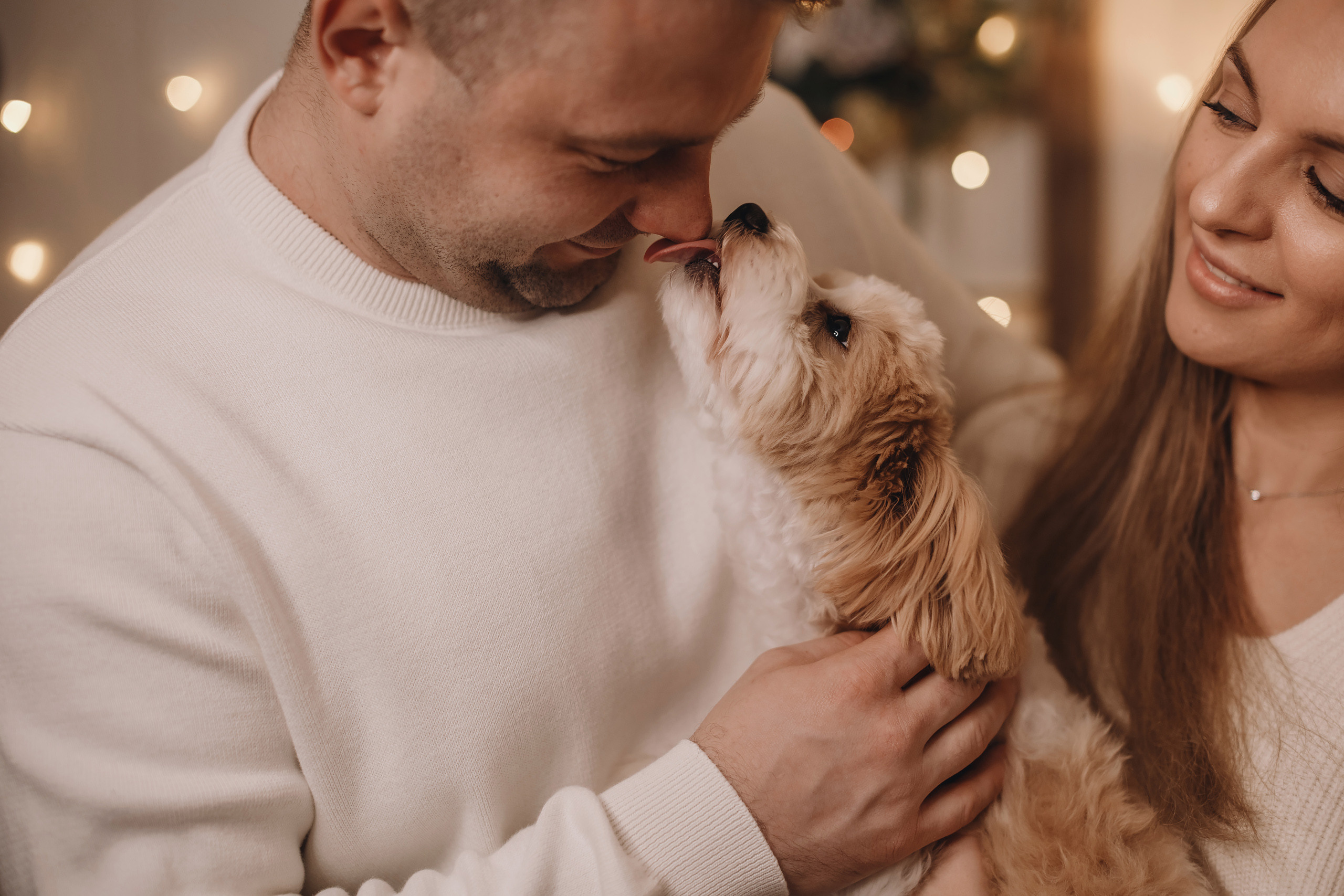 12142021 Christmas Photoshoot 14. Wedding family event photographer in Chicago Nick Yushevich