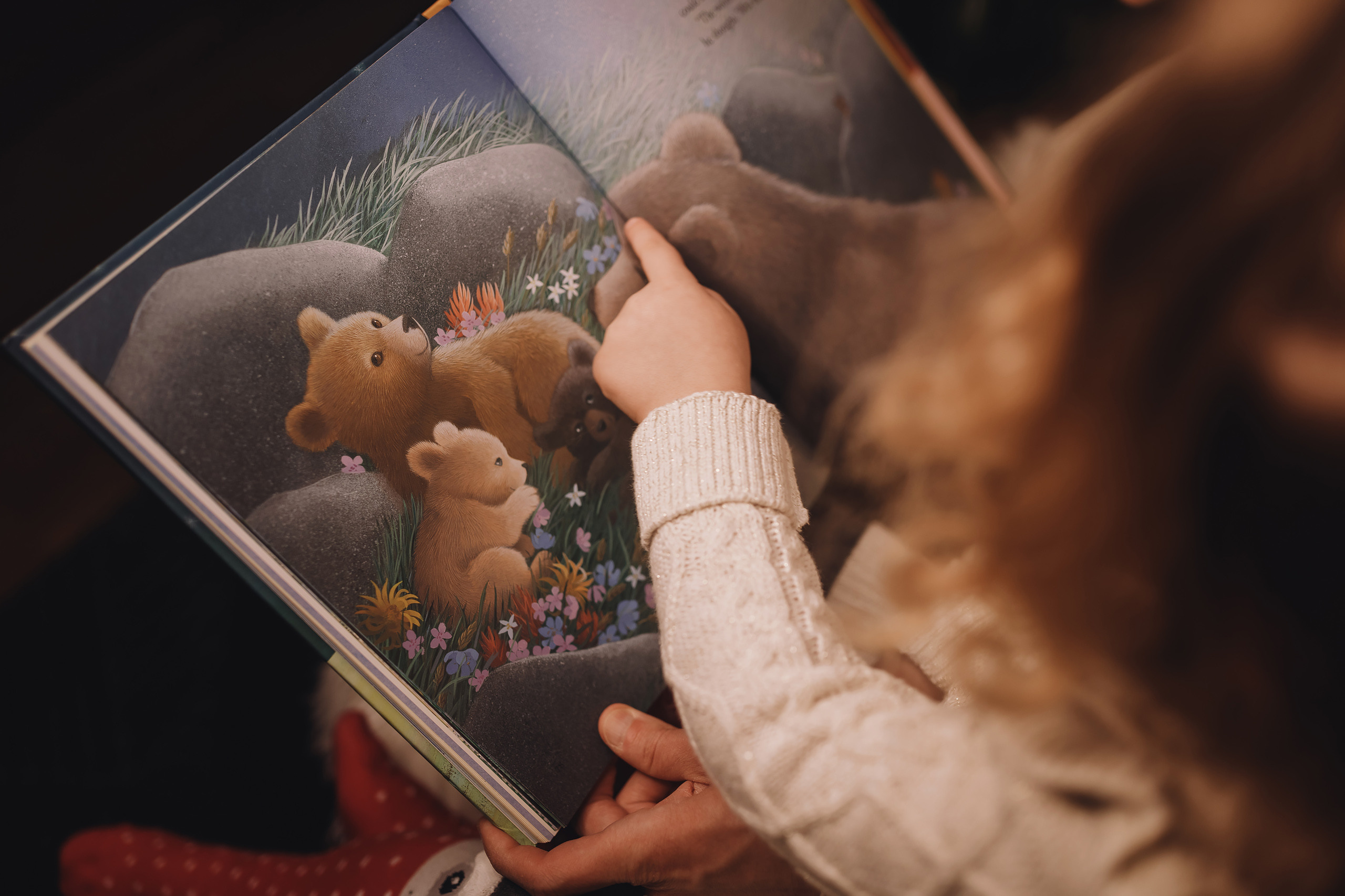 12112021 Christmas Photoshoot 12. Wedding family event photographer in Chicago Nick Yushevich