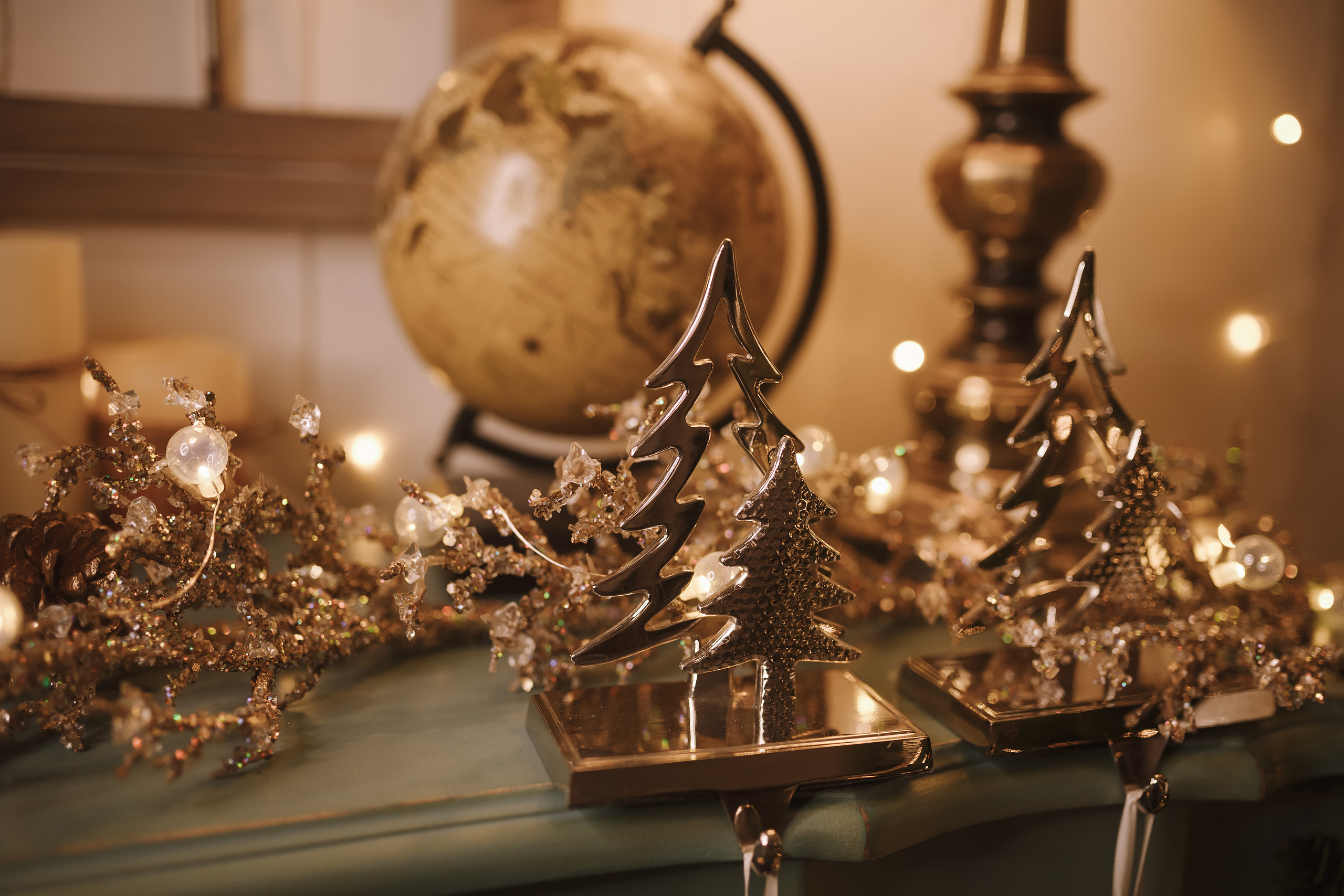 11212021 Christmas Photoshoot 3. Wedding family event photographer in Chicago Nick Yushevich