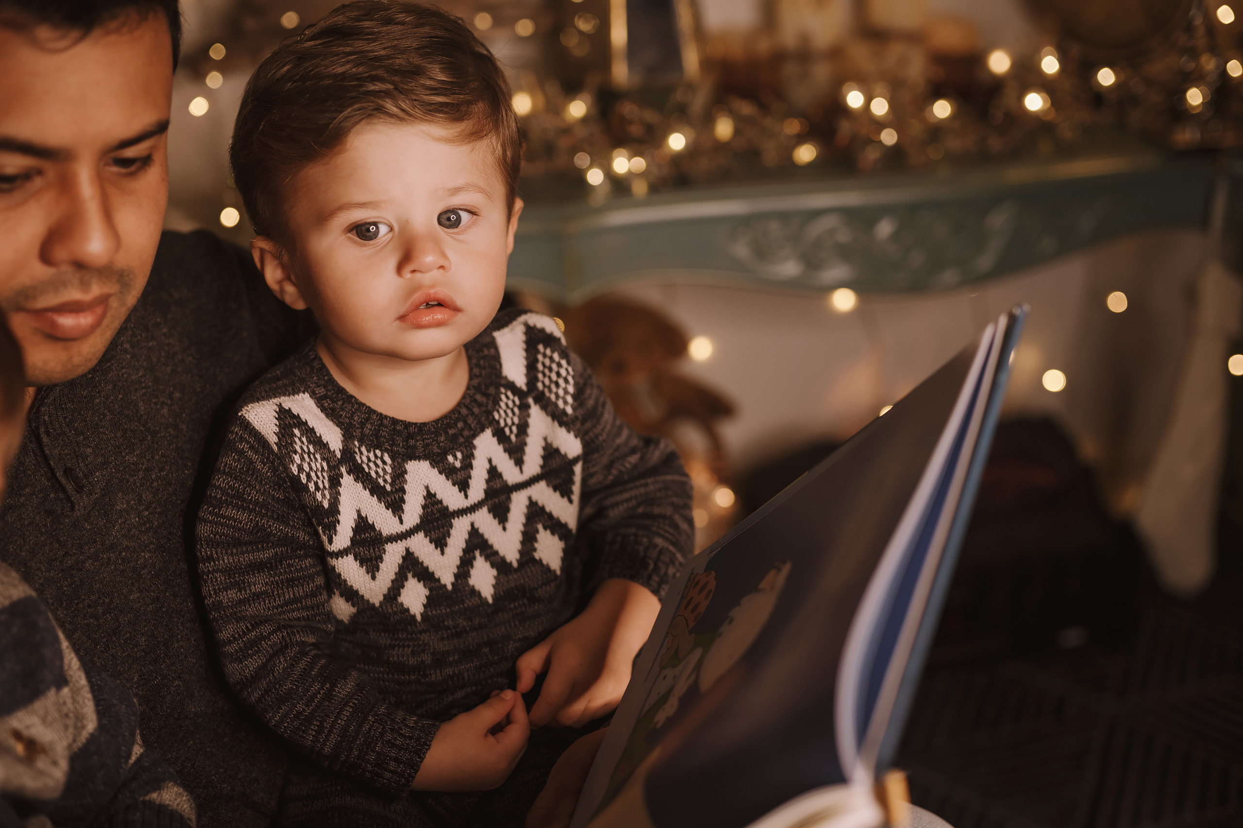 11212021 Christmas Photoshoot 4. Wedding family event photographer in Chicago Nick Yushevich