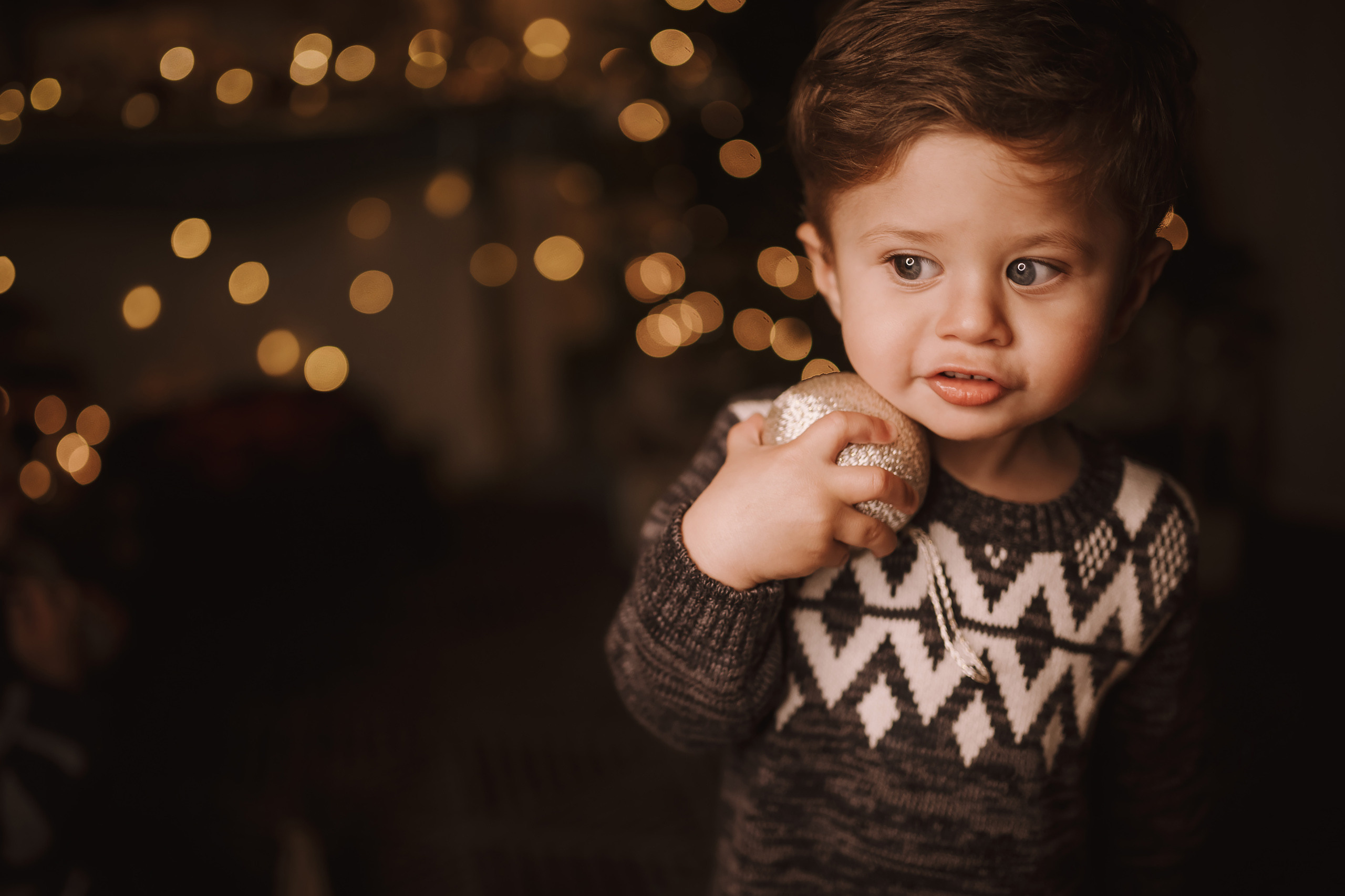 11212021 Christmas Photoshoot 4. Wedding family event photographer in Chicago Nick Yushevich