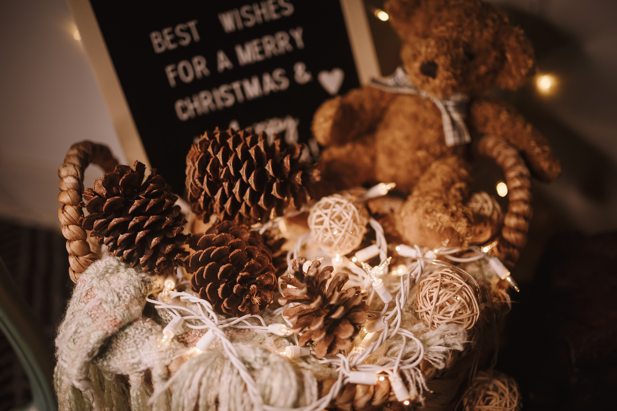 12042021 Christmas Photoshoot 8. Wedding family event photographer in Chicago Nick Yushevich