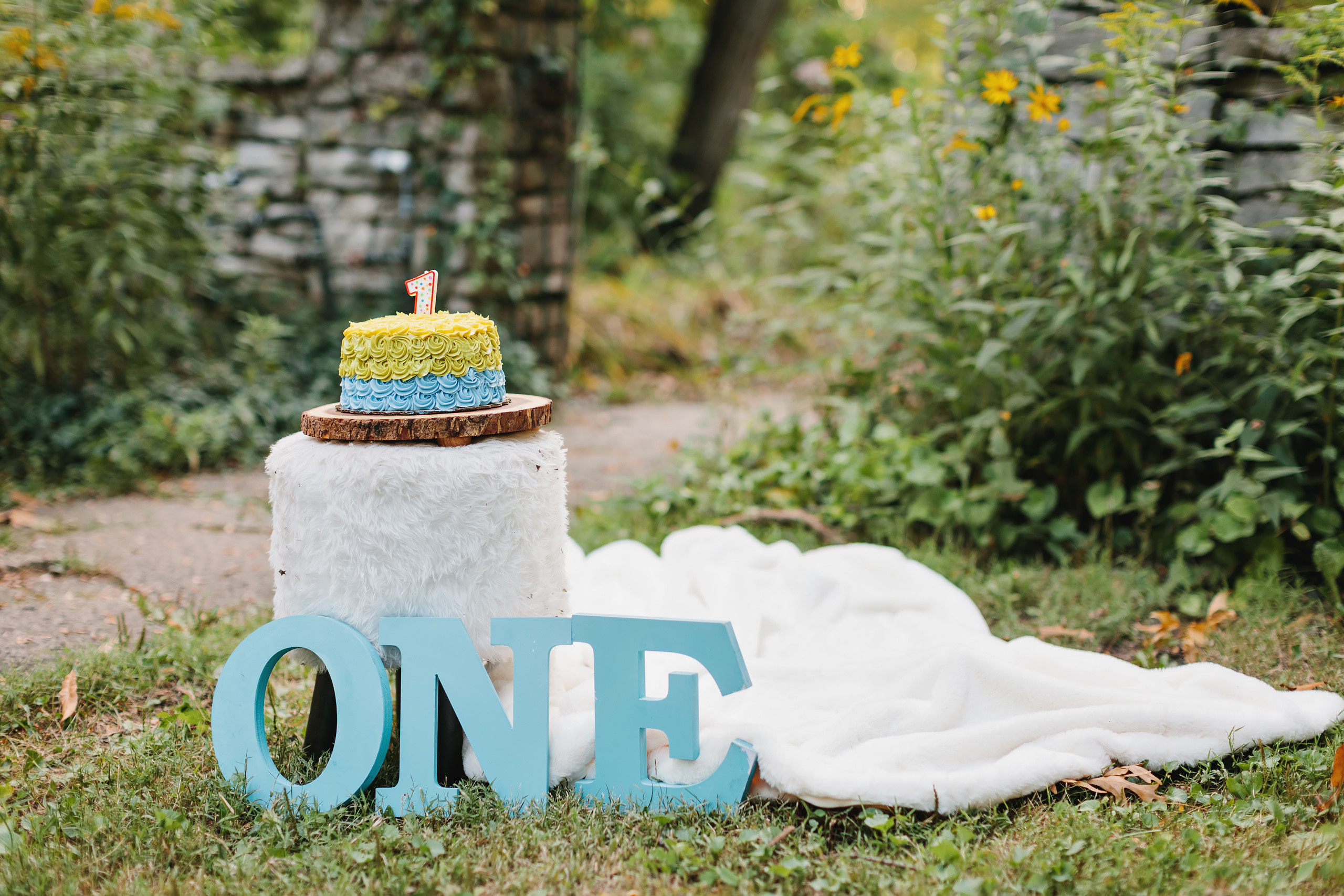 08.20.2021 Family photoshoot. Wedding family event photographer in Chicago Nick Yushevich