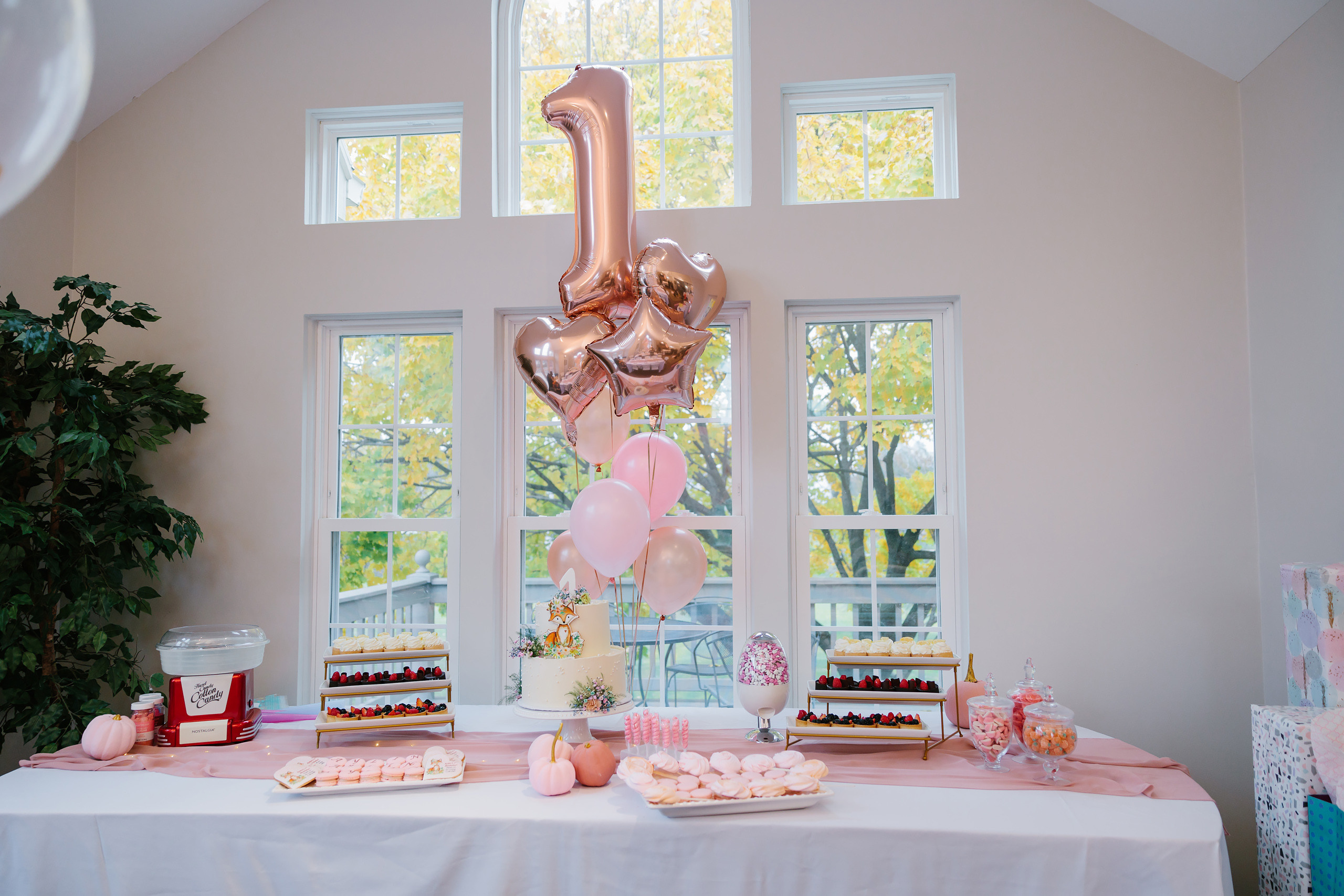 11.13.2021 First birthday. Wedding family event photographer in Chicago Nick Yushevich